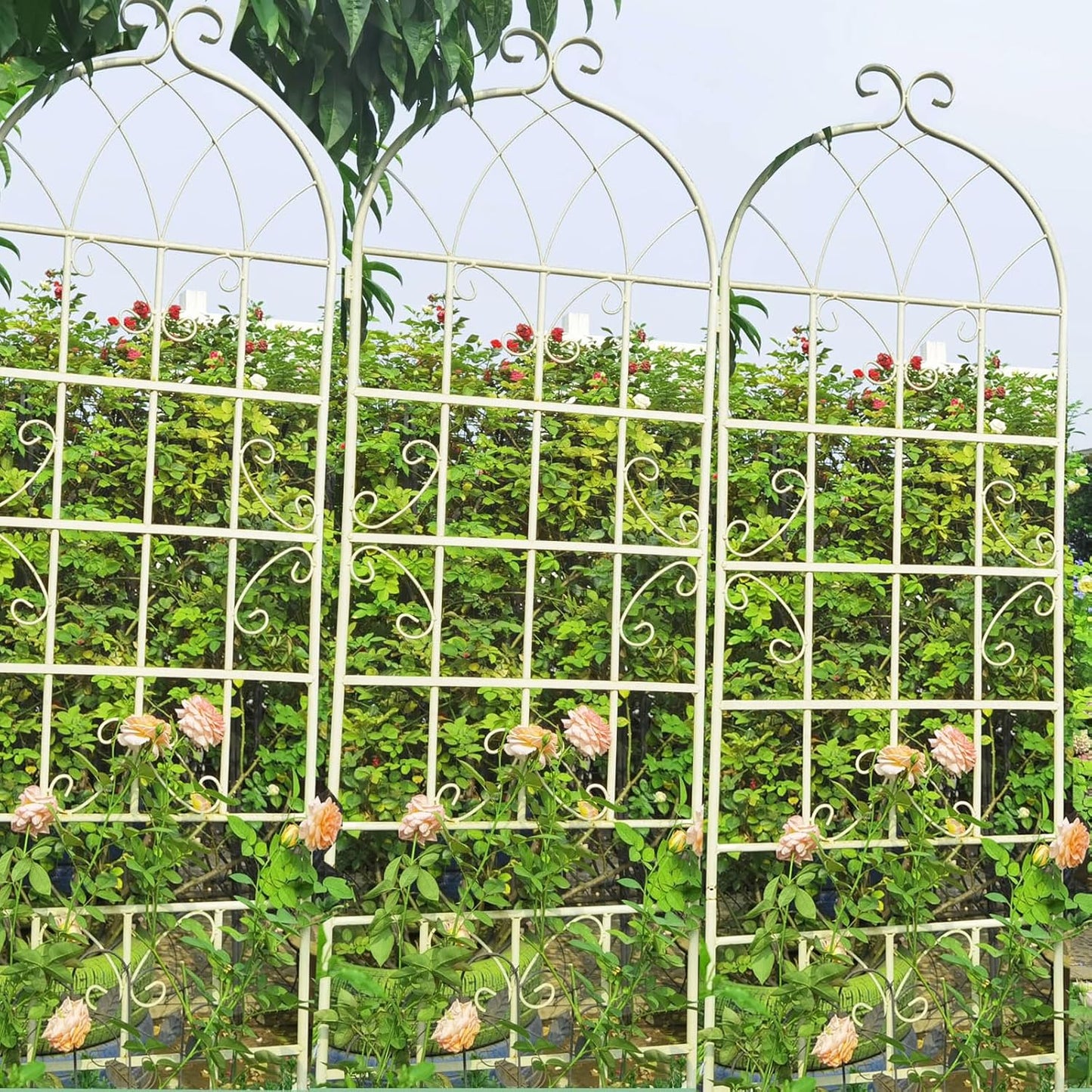 2 Pack Metal Garden Trellis 86.7" H Cream White Garden Fence Rustproof Trellis for Climbing Plants Support Roses Flower Outdoor Lawn, White Tall
