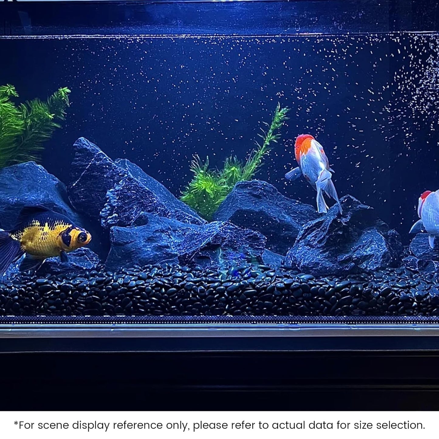 SIDONG 10 LB Black River Rocks, 0.3-0.5 Inches High Polished Pebbles for Indoor Plants, Aquarium Rocks Used in Fish Tank, Decorative Stones for Plants, Vases, Home Décor, Crafting, Garden Landscaping