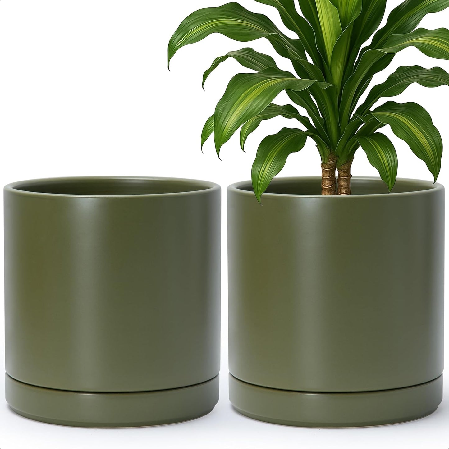 D'vine Dev Set of 2 Plants Pots, 10 Inch Ceramic Planter Pot for Plants with Drainage Hole and Saucer, Olive, 94-V-E-J