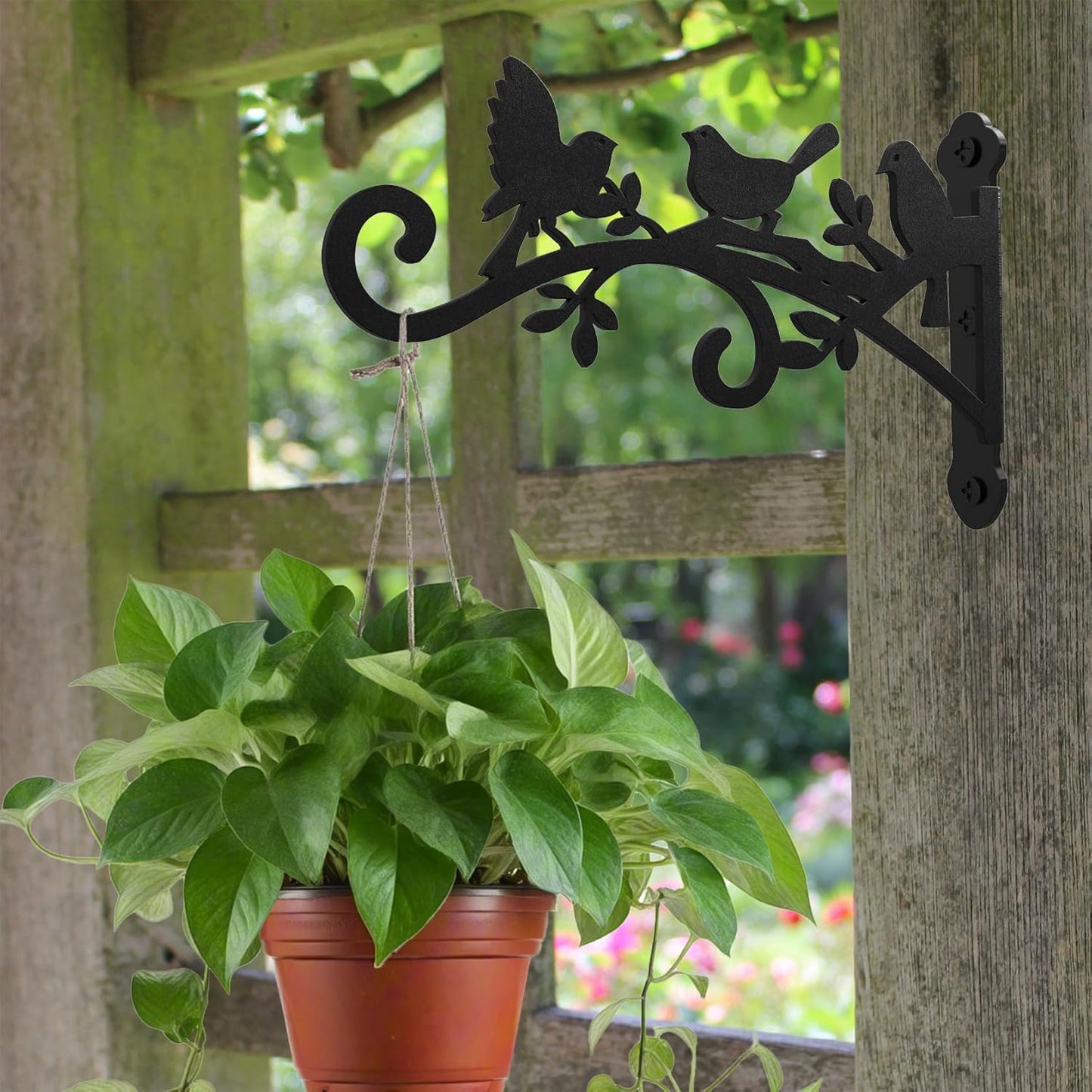 Metal Hanging Plant Bracket with Birdie Pattern 2 Pack – Heavy Duty Plant Hooks for Hanging Flower Baskets，Plants, Bird Feeder, Wind Chime - Indoor/Outdoor Use，Black Matte Texture (12 in)