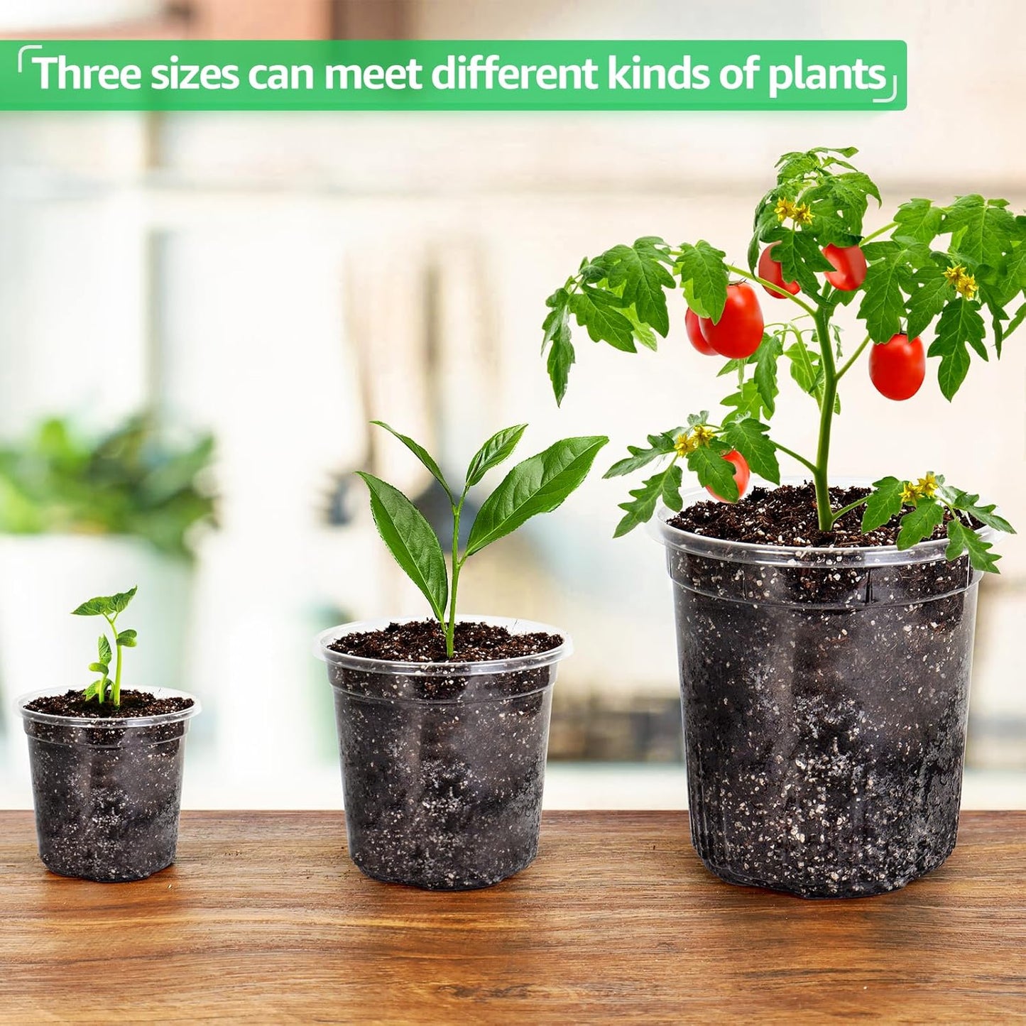 30 Packs 6.7/5/4 Inch Reinforced Clear Nursery Pots with Drainage Hole, Transparent Variety Pack Plastic Plant Pot Seedling Planter Seed Starter Flower