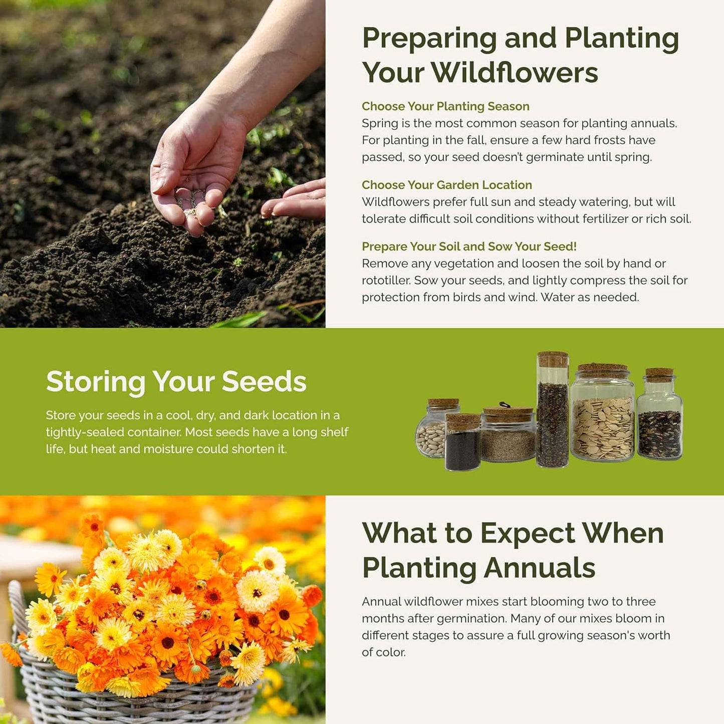 Eden Brothers Orange You Glad Flower Mixed Seeds for Planting, 5 lb, 2,400,000+ Seeds with Dahlia, Double Strawflower | Attracts Pollinators, Plant in Spring or Fall, Zones 3, 4, 5, 6, 7, 8, 9, 10