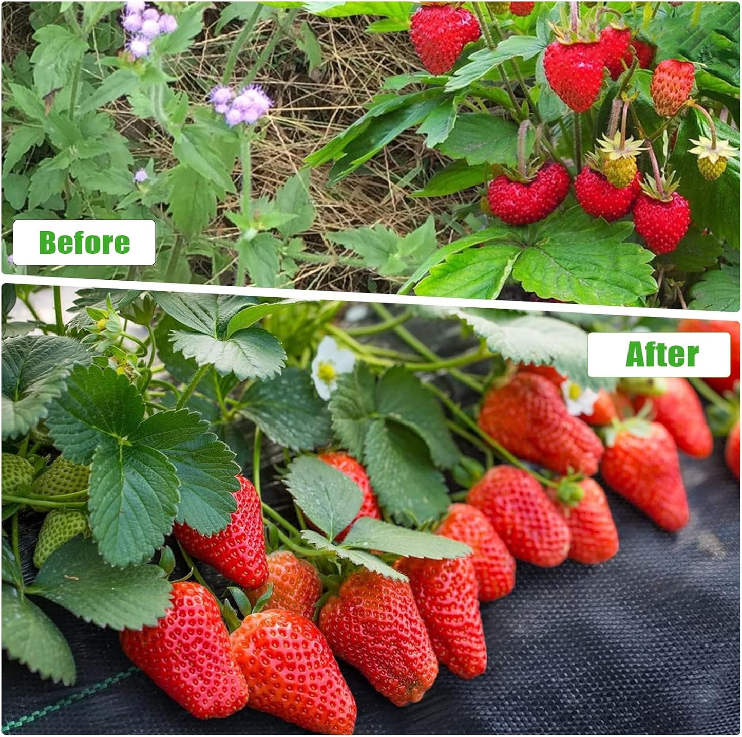 4FTx100FT Weed Barrier Fabric Heavy Duty, Gardening Landscape Fabric Cover Mat, Durable Weed Control Fabric for Garden Bed Cover, Landscaping, Commercial Driveway, Underlayment Use (4x100FT-3.2OZ)