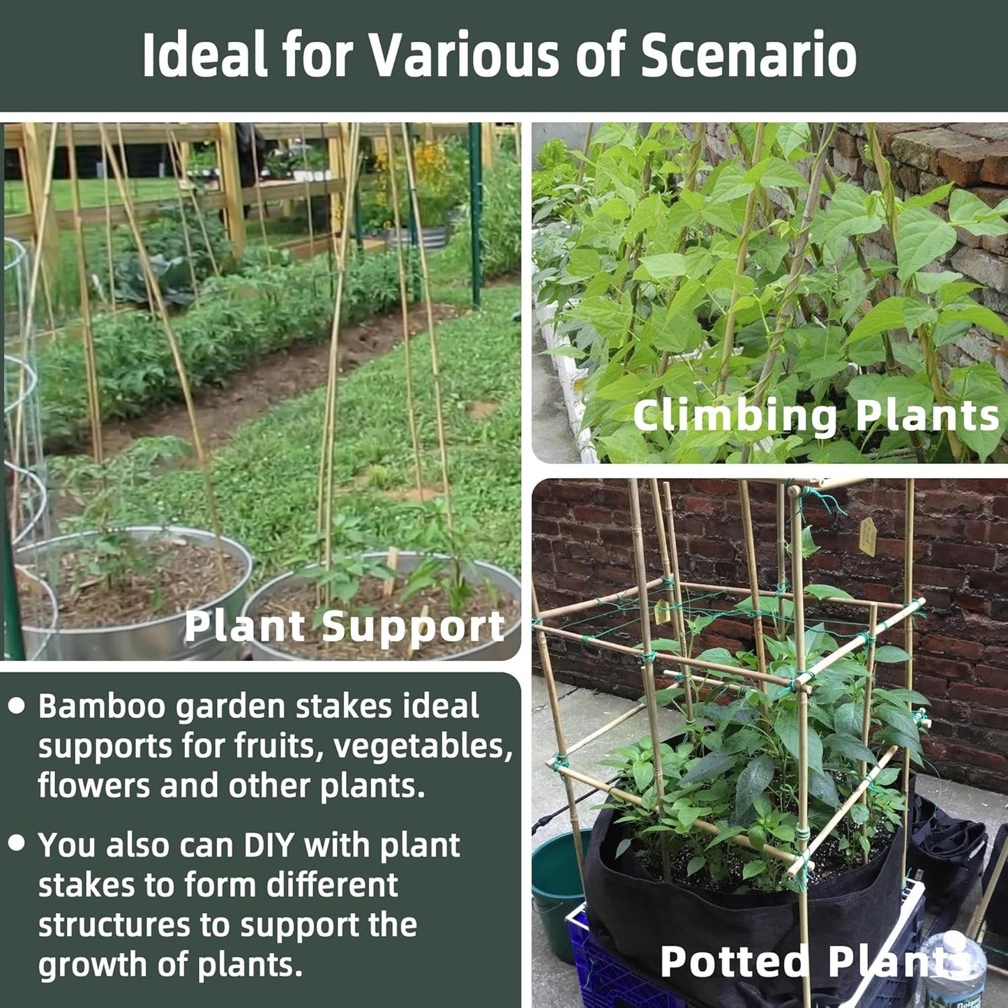 50Pcs / 16 inch Bamboo Plant Stakes for Indoor Outdoor Plants, Garden Plant Support Sticks, Poles for Tomato Vegetables Beans Trees Potted Climbing Plants(0.32'')