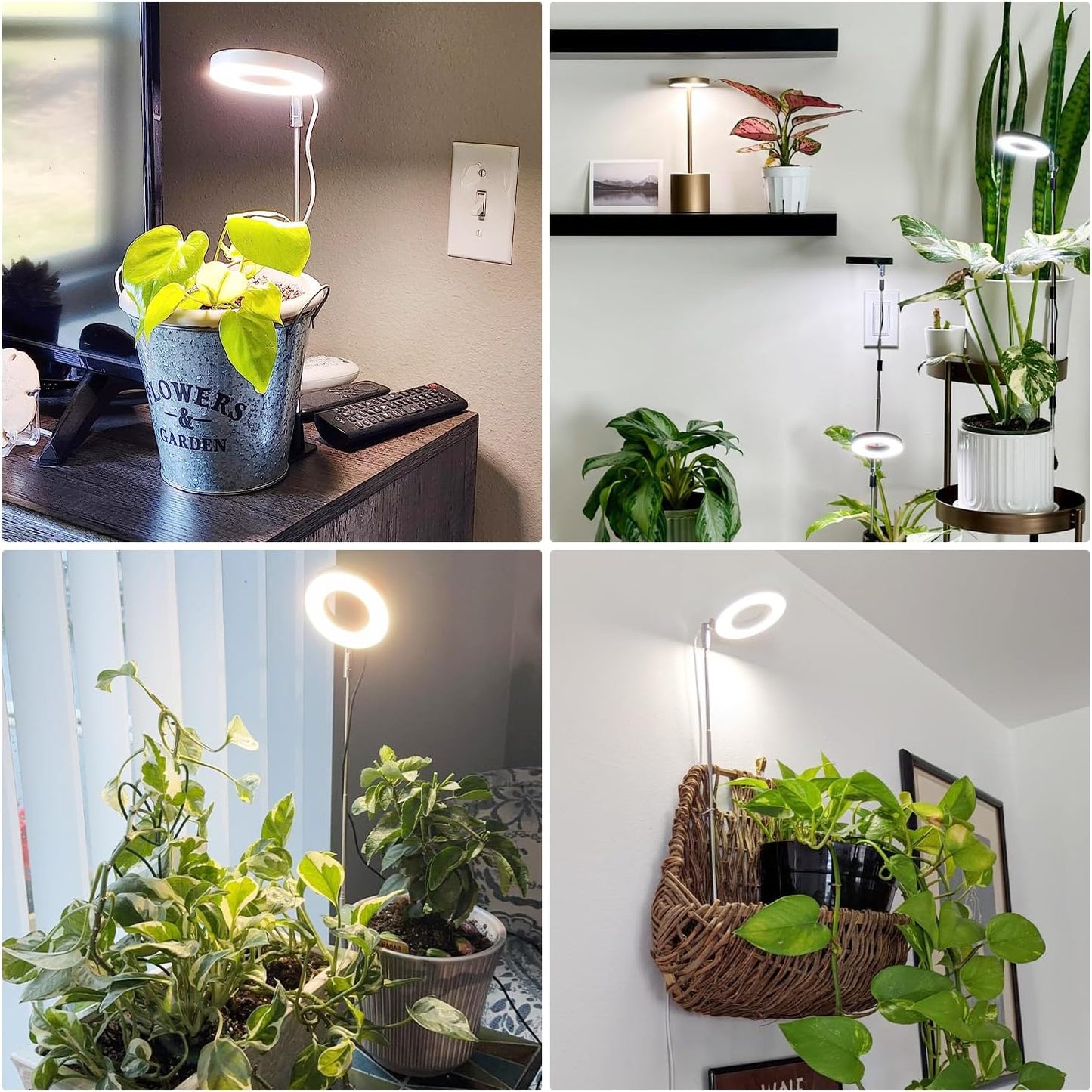 Grow Lights for Indoor Plants, Full Spectrum Plant Lights for Indoor Growing with with 3/9/12H Timer, 3 Color Modes, 10 Brightness, 6.5"-26" Height Adjustable Small Grow Light, 1 Pack(3.4in)