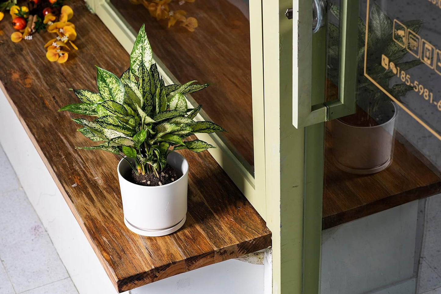 Ekirlin 7 inch Plant Pots,Ceramic Flower Planters Indoor,Modern Succulents Containers with Drain Hole Saucer,Decorate Home,Office & Outdoor (White)