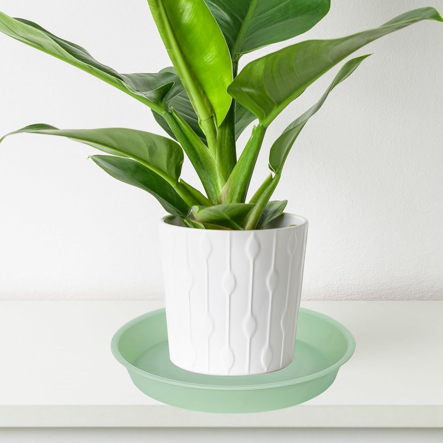 4 Pack of 14 inch Plant Saucers Bird Bath Bow Round, Plastic Plant Saucer Tray for Pots, White Planters for Indoor Plants, Plant Trays for Planter 12-15" (14", Light Green)