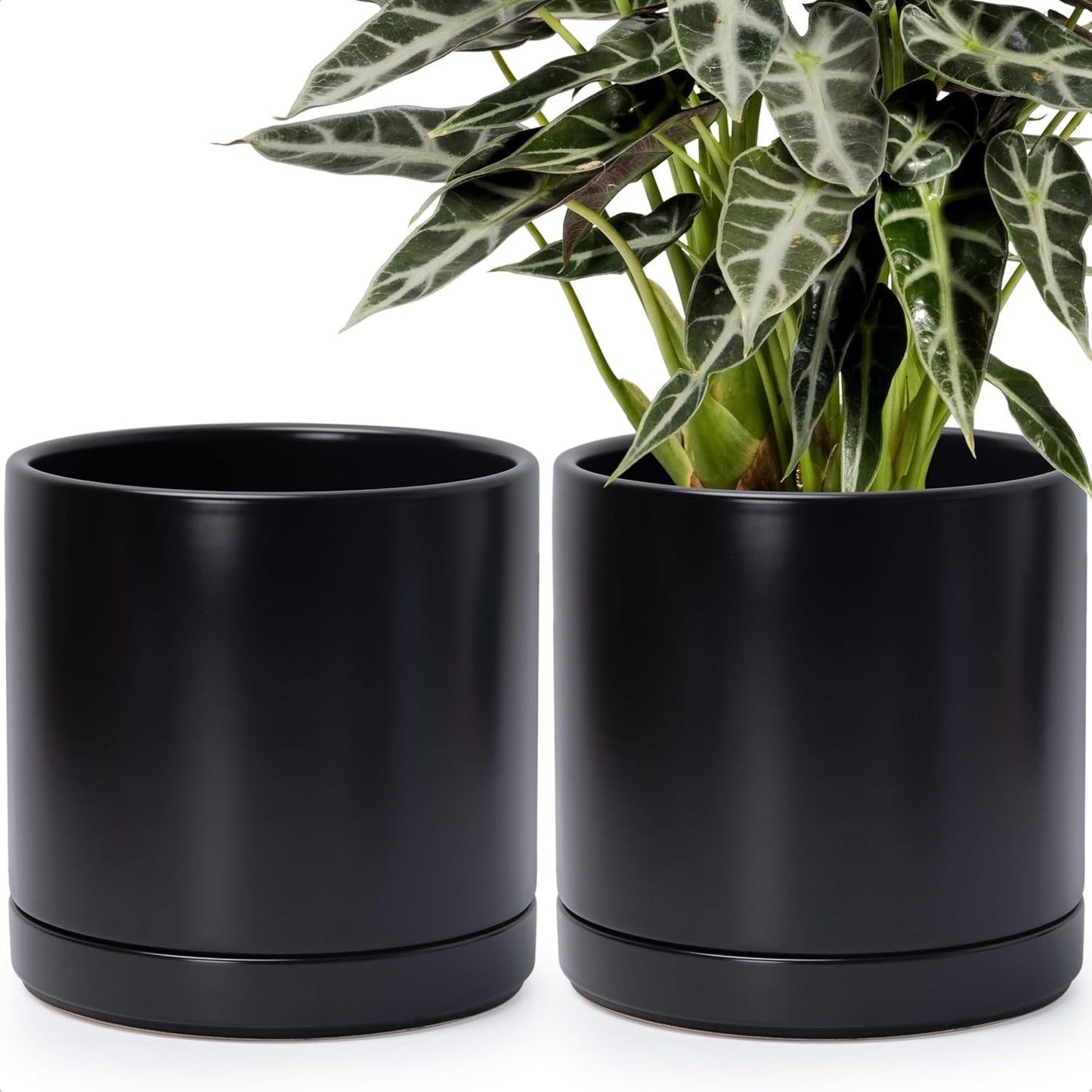 D'vine Dev Set of 2 Plants Pots, 10 Inch Ceramic Planter Pot for Plants with Drainage Hole and Saucer, Black, 94-V-E-2