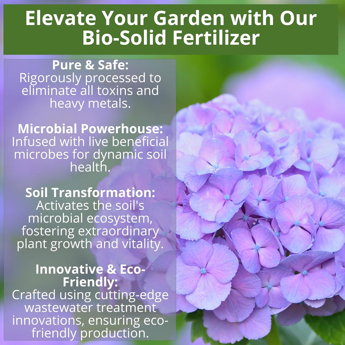 8-4-8 Acidic Fertilizer for Azaleas, Camellias (Camelia), Hydrangeas, Blueberries, Gardenias, Magnolia Trees, Evergreens, and Rhododendrons - Ideal Iron-Rich Plant Food (1/2 Quart)