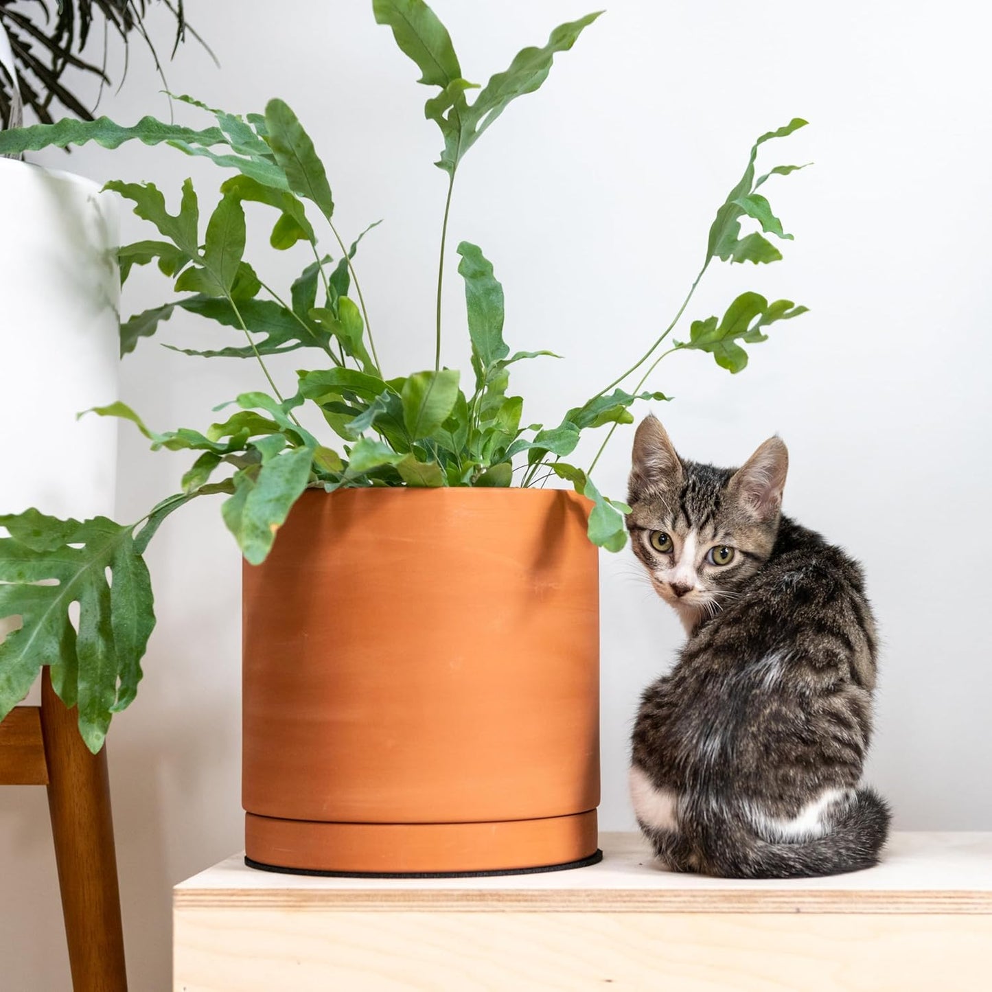 D'vine Dev Terracotta Pots for Plants, 6.5 Inch 8.3 Inch 10 Inch, Round Cylinder Planter Pot with Drainage and Saucer, 40-T-C-0