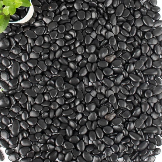 45lb Black Pebbles for Plants,Potting,Succulents Aquarium Fish Tank Vases Decorative Garden Polished Gravel Rocks Stones