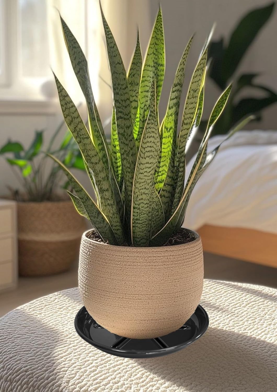 6 Pack of Plant Saucer 10 inch, Heavy Duty Pot Saucers for Plants, Plant Drip Trays for Indoors Outdoor, Plant Water Tray for Planters, Black