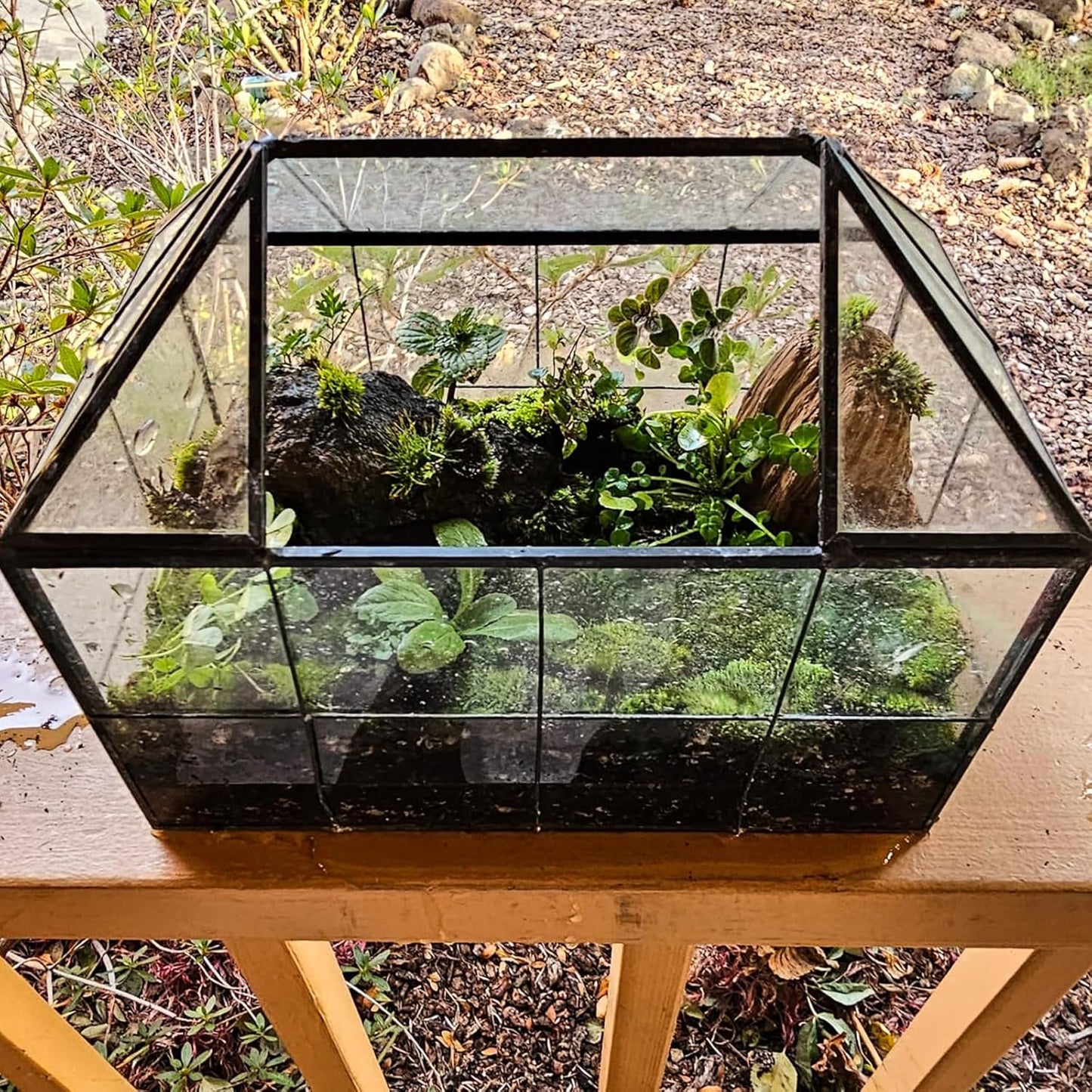 HighFree Geometric Terrarium Planter with Swing Lid, House Shape Black Handmade Glass Box, Vintage Tabletop Miniature Terrarium, for Succulent, Cacti, Air Plants (Not Watertight - 9.2x5.5x7.3 inch)