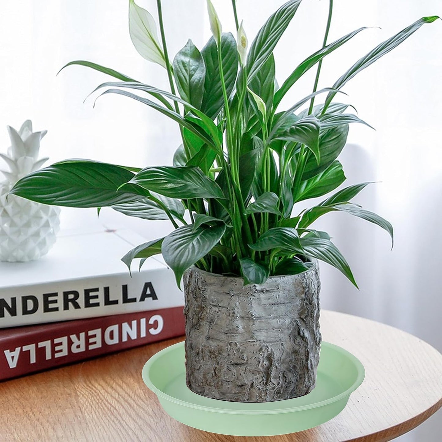 6 Pack Plastic Plant Saucer Water Drip Tray, 4 5 6 7 8 9 10 11 12 13 15 17 19 inch, Heavy Sturdy Plant Drainage Tray for Indoors Outdoor, Saucers for Pots Base (4", Light Green)