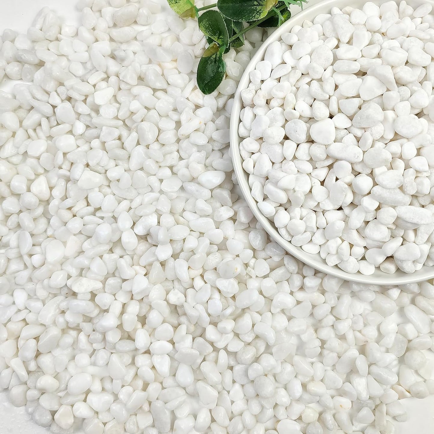 10lbs White Pebbles for Landscaping, 3/8inch Small Rocks for Succulent Cactus Planters, Natural Polished Pebbles, River Rocks for Plants, Vases, Garden