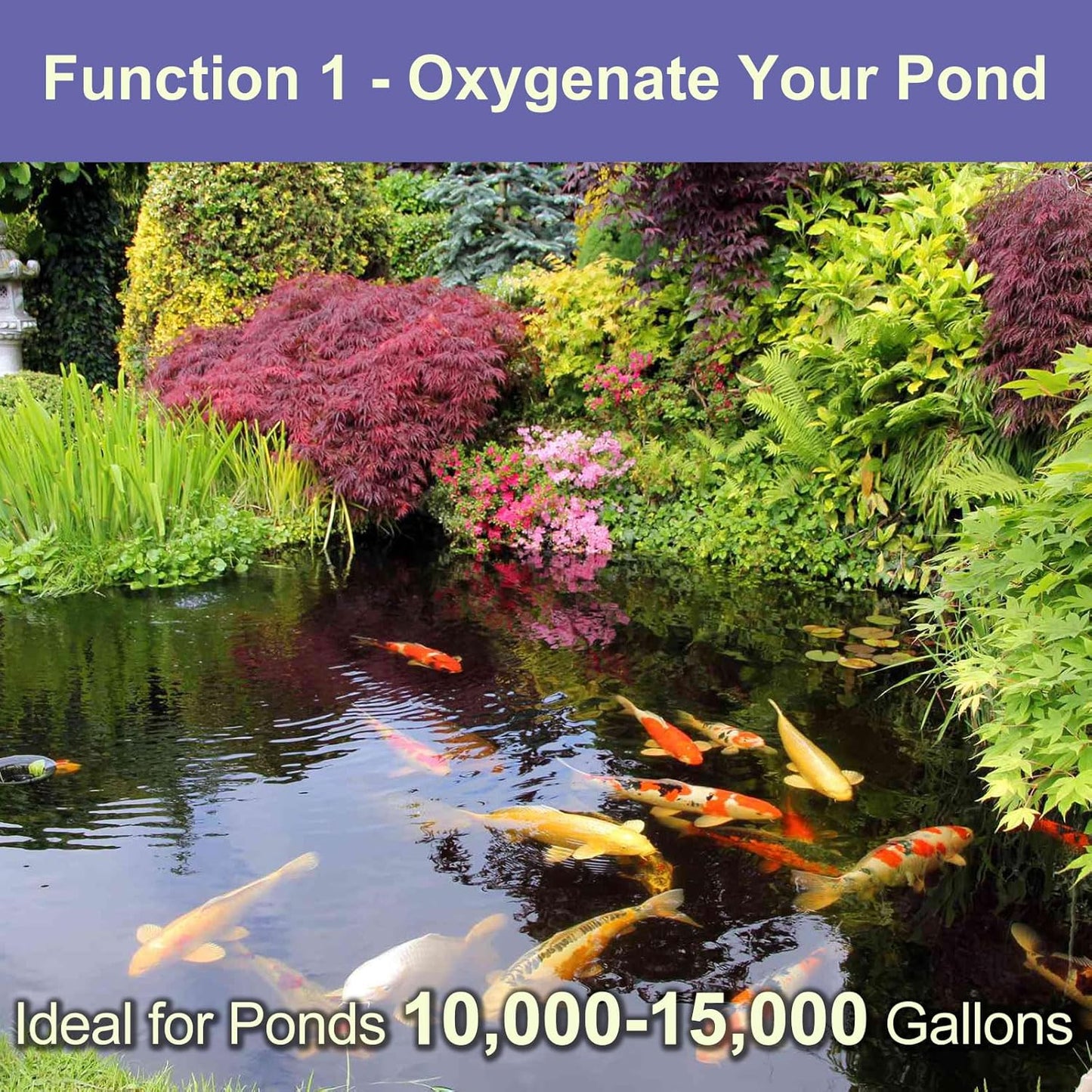 AquaMiracle Koi Pond Aerator Pond Air Pump with Self-Sinking Airline Rubber Air Diffuser, Air Flow Control Pond Deicer All-in-One Pond Aeration Kit for Outdoor Pond 10,000-15,000 Gallons