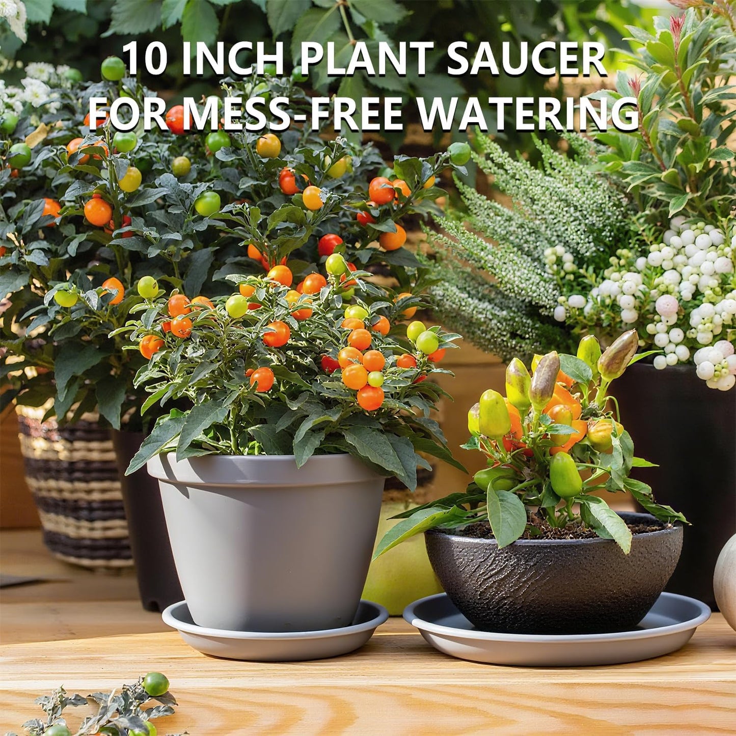 6 Pack 10-Inch Gray Plant Saucer Trays, Heavy Duty Plastic PP Pot Bases for Medium & Large Flower Pots, Durable Water Catcher Plates & Drip Trays for Indoor Outdoor Gardening Use