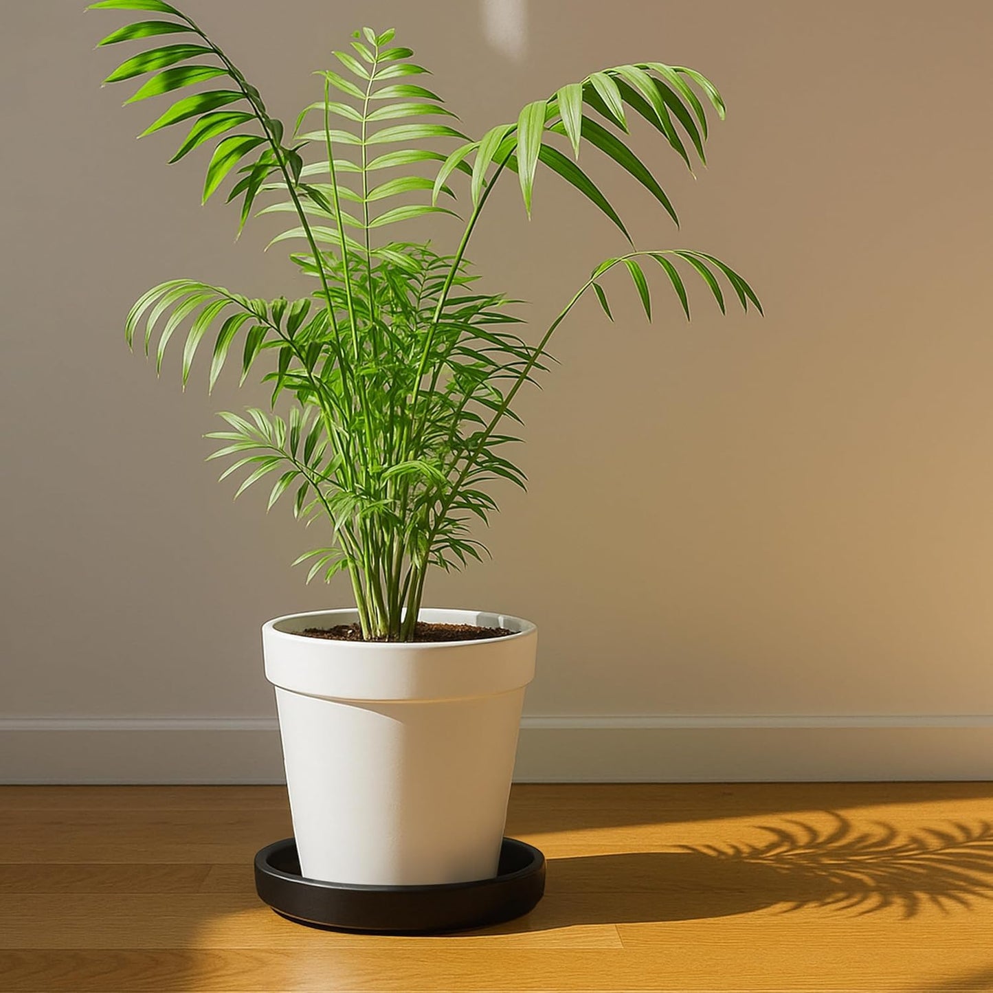 D'vine Dev Modern Round 7.1 Inch Ceramic Plant Pot Saucer, Planter Pot Drainage Tray for Indoor Plants, Matte Black, 97-T-B-3