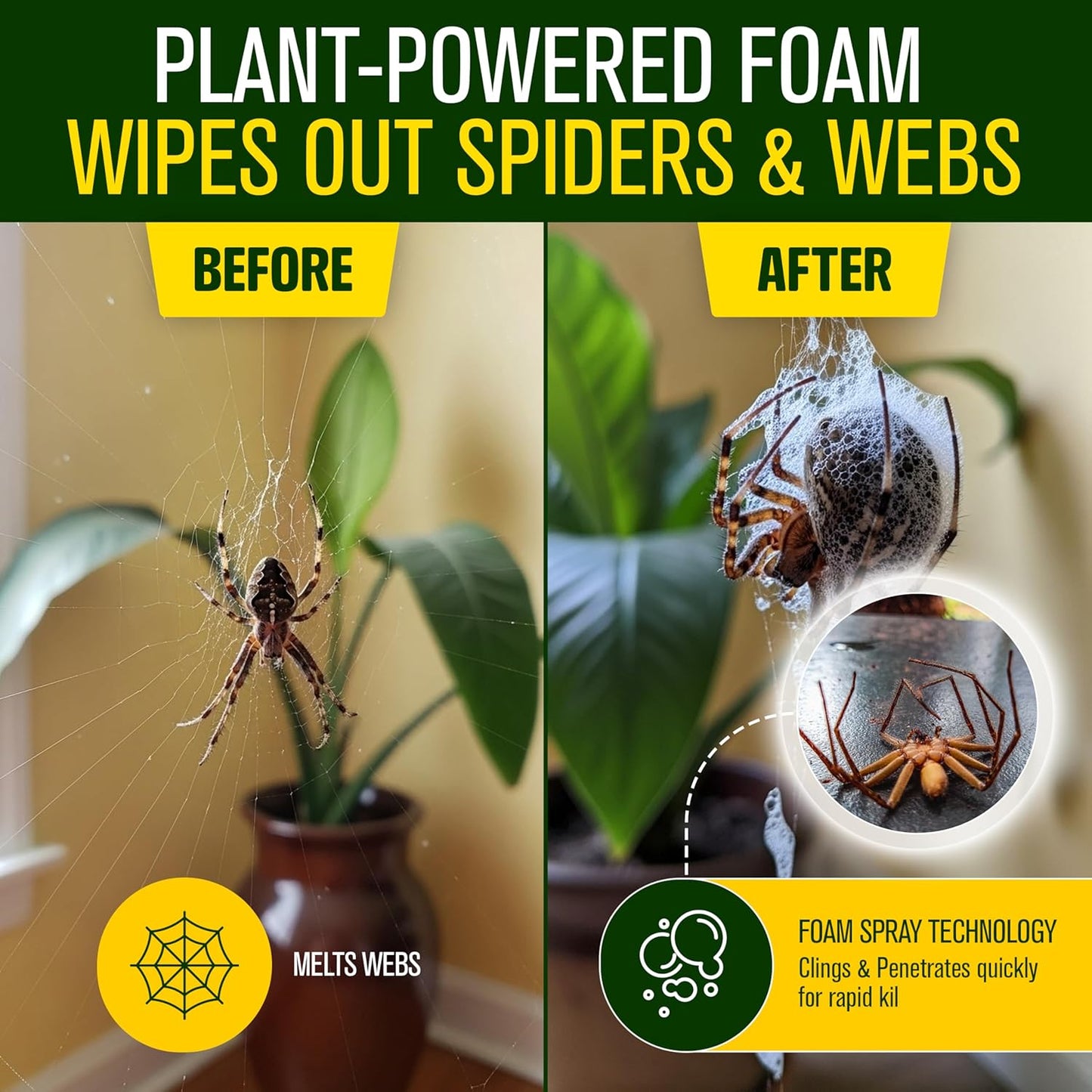 Green Guard Pest Control Spray - Indoor & Outdoor Killer of Ants, Roaches, Spiders & Other Crawling Insects, Safe Around Children & Pets, Plant-Based, Pleasant Scent (Lemongrass Blast, 16oz)