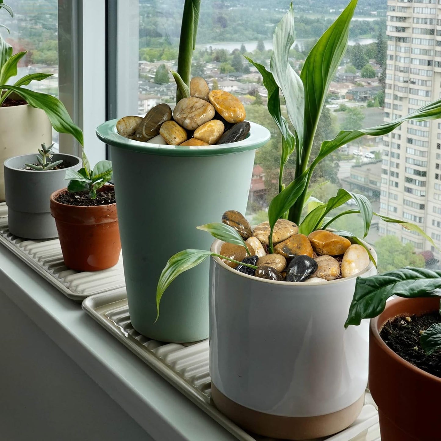 5lbs Large Pebbles for Indoor Plants, 2-3 Inch Natural River Rocks for Aquarium, High Polished Decorative Stones for Vase Filler Fish Tank Landscaping, Mixed Color Garden