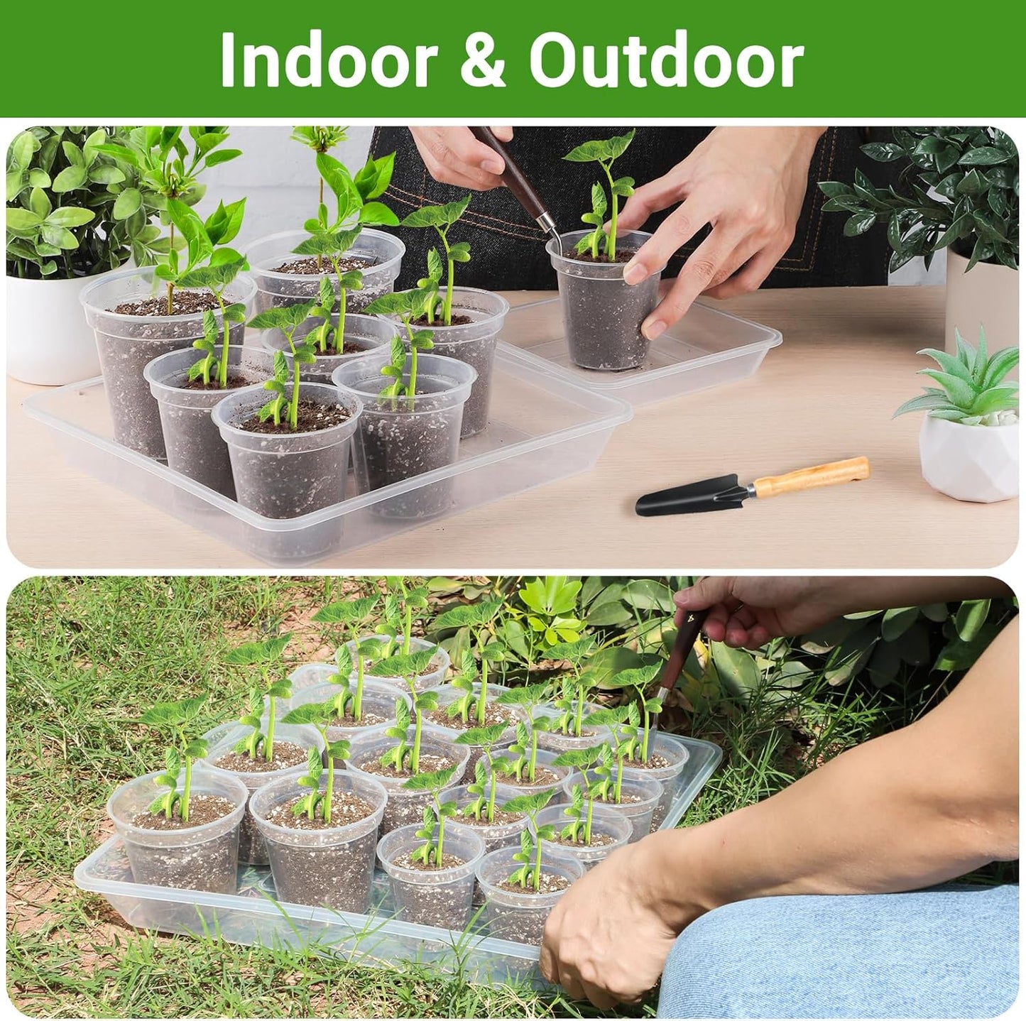 GREANER Clear Plant Plates to Catch Water, 12 Inch Durable Thick Saucer for Flower Pot, Square Plant Saucer Plant Trays for Pots, Flower Pot Saucers to Catch Water Drip Tray(6 Packs)