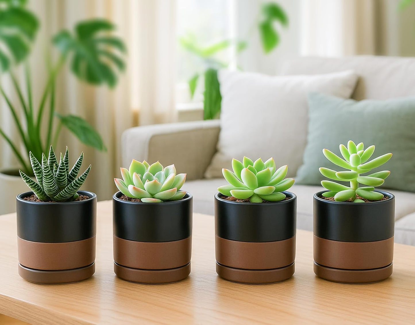 D'vine Dev Set of 4 Small Ceramic Plant Pots, 3.5 Inch Succulent Planter Pot for Plants with Drainage Hole and Saucer, Black/Speckled Tan, 94-X-A-7