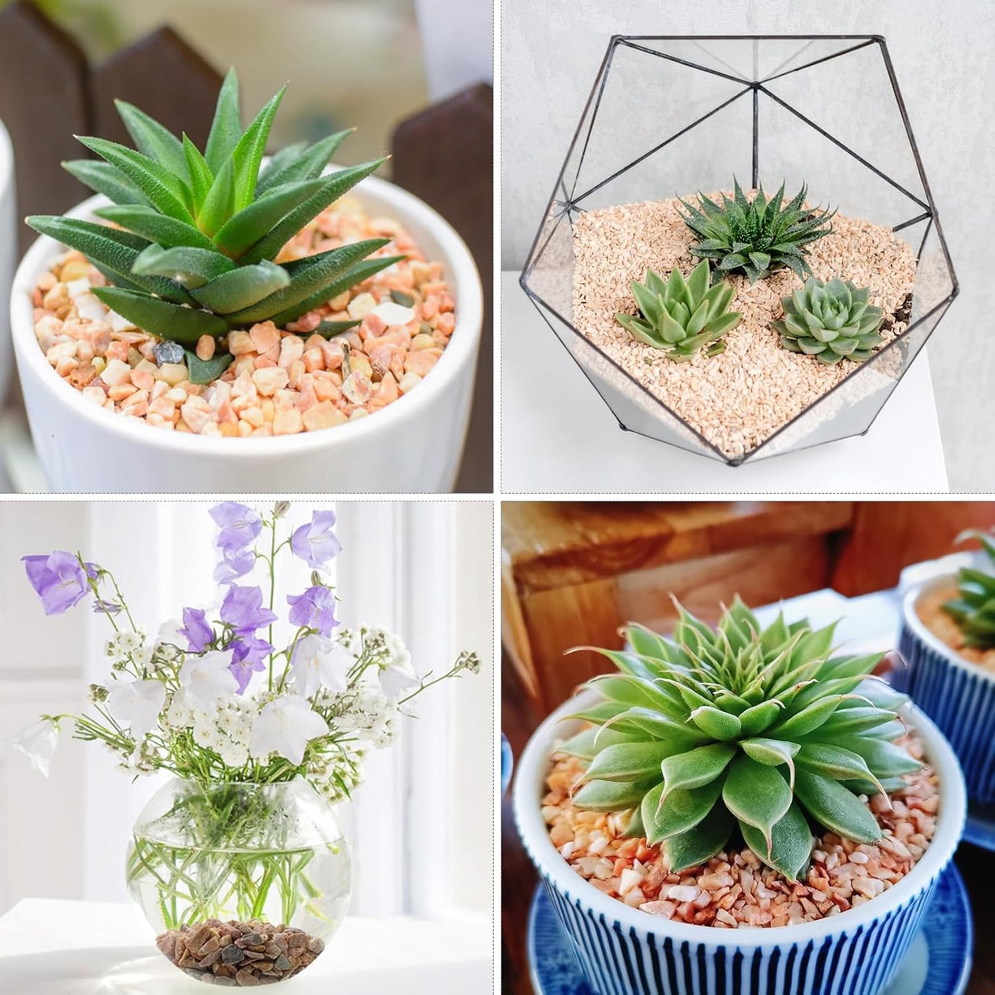 20lbs White Pebbles for Landscaping, 3/8inch Small Rocks for Gardening Succulent Cactus Planters, Natural Polished Pebbles, River Rocks for Plants, Vases