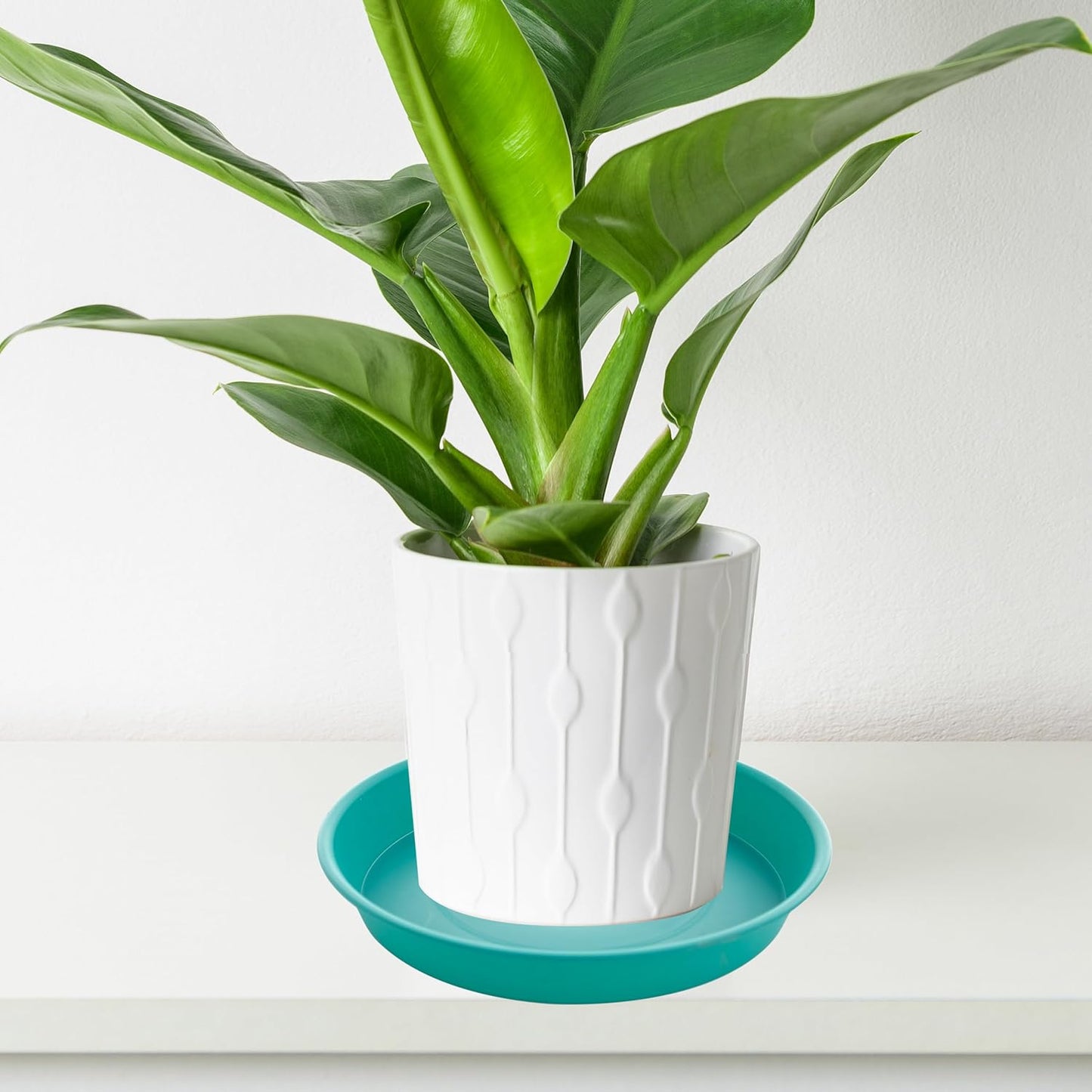 6 Pack of 10 inch Plant Saucer Blue, Heavy Duty Plastic Plant Saucer 10 inch Round, Flower Plant Saucers for Indoors, Plant Trays for Planter 8"/9"/10" (10", Teal)