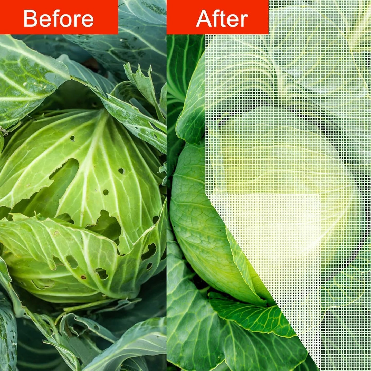 Agfabric Garden Netting 6.5'x49' Barrier Net, Bird Netting for Garden Trees Vegetable and Plants, White