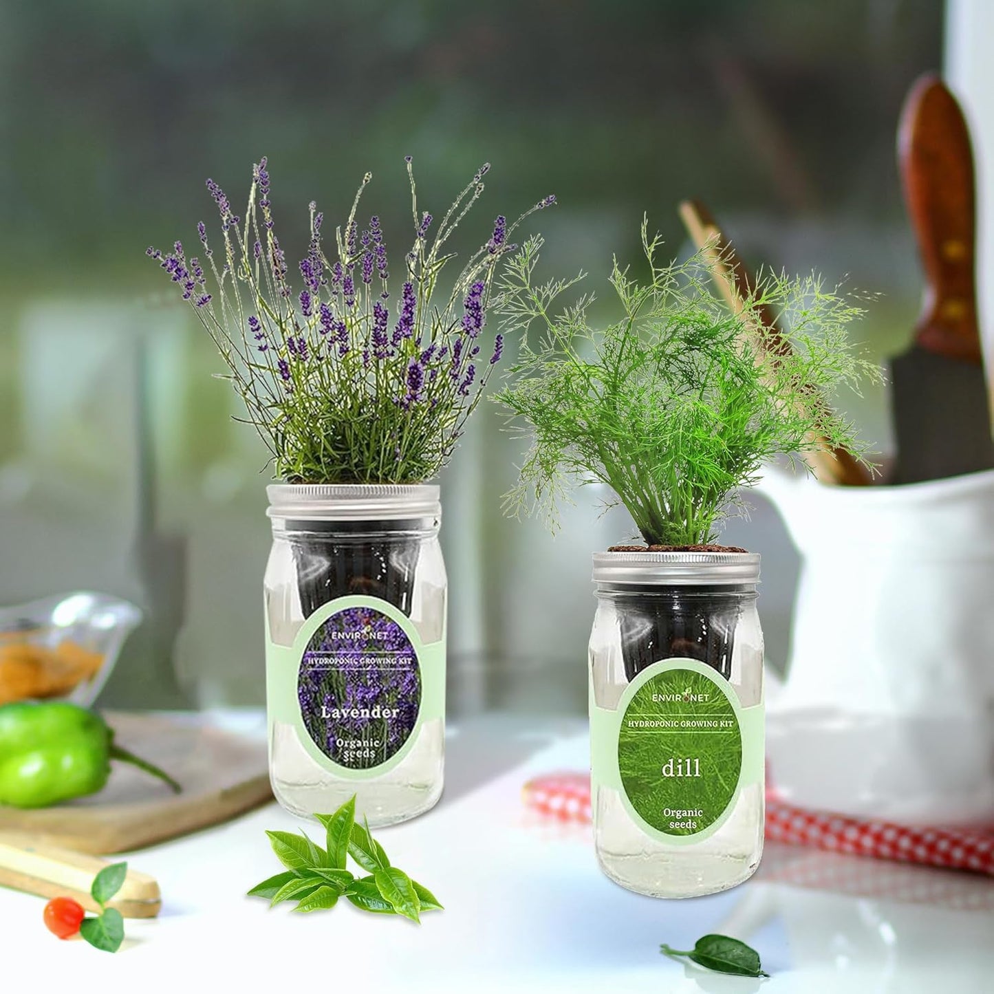 2-Pack Hydroponic Mason Jar Herb Garden Kit, Indoor Herb Garden Self-Watering Starter Kit (Lavender,Rosemary)