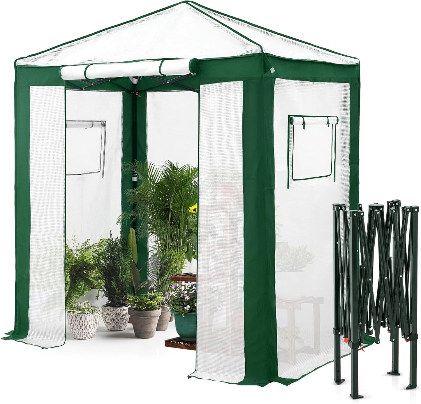 EAGLE PEAK 6x4 Portable Walk in Greenhouse with Polyester Reinforced Corners, Instant Pop up Indoor Outdoor Gardening Green House, Roll Up Zipper Entry Door and Mesh Windows, Green/White