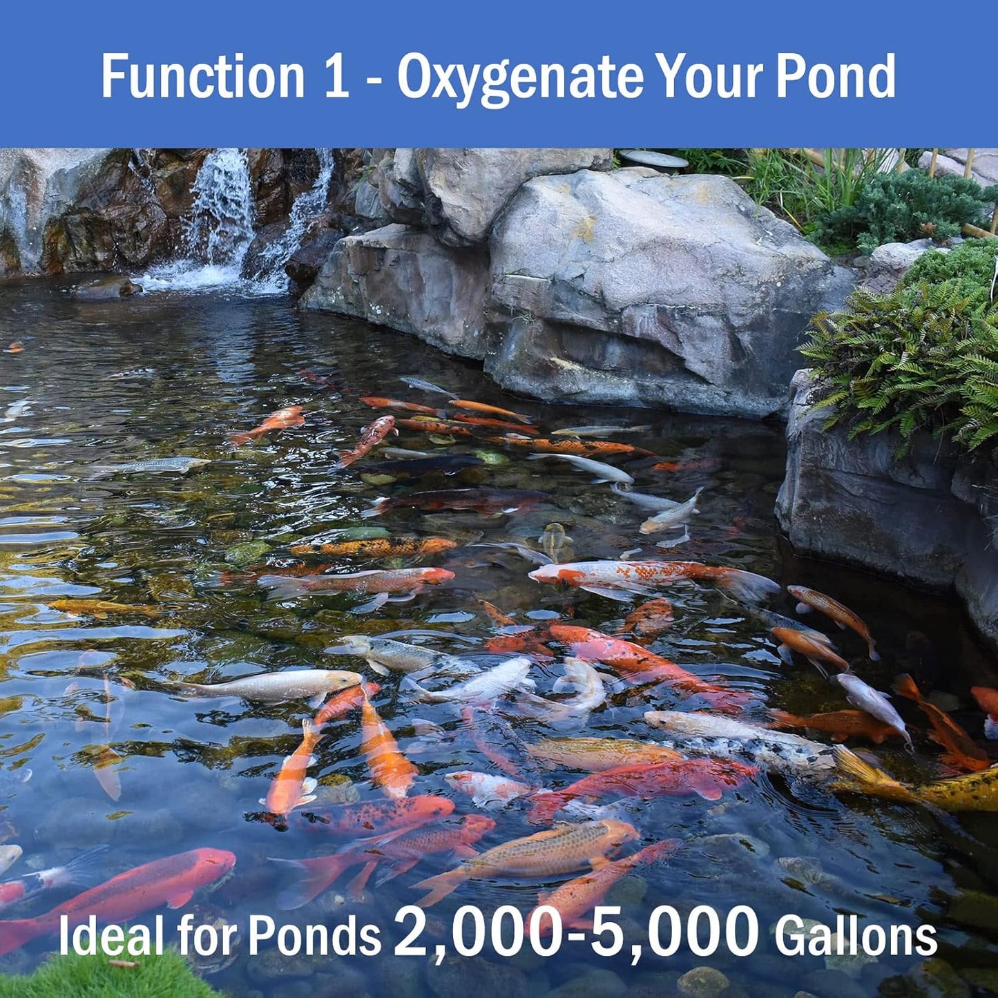 AquaMiracle All-in-One Koi Pond Aerator for Outdoor Ponds, Pond Air Pump Pond Aeration System with Self-Sinking Airline Flow Control Rubber Air Diffuser