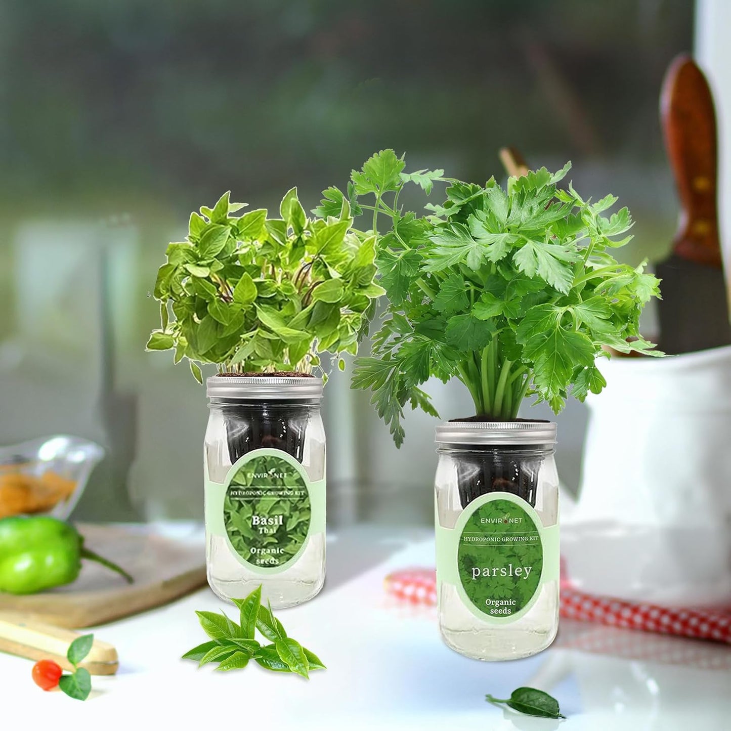2-Pack Hydroponic Mason Jar Herb Garden Kit, Indoor Herb Garden Self-Watering Starter Kit (Thai Basil,Parsley)