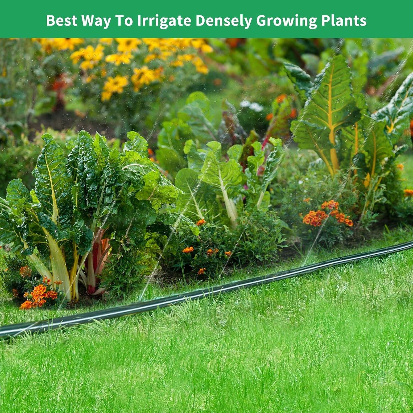 75 FT Flat Sprinkler Hose for Lawn Watering Garden Soaker Hose with Holes, Heavy Duty Lightweight No-Kink Water Hose with Stakes, Irrigation Hose, Great Fun for Kids and Dog