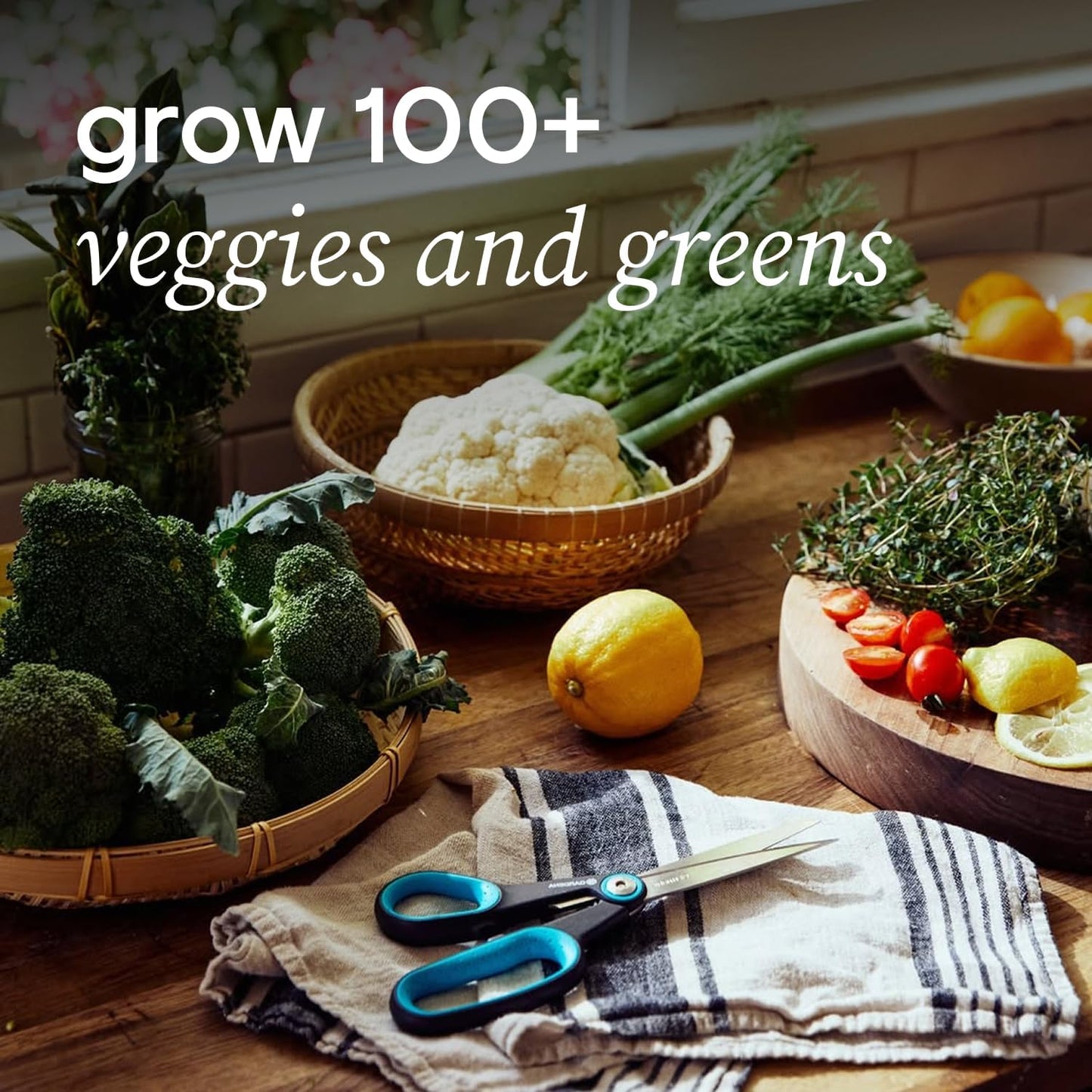 Farmstand Starter Kit with Glow Rings and 30 Seedling Credits | Family Hydroponic Growing System Kit | Vertical Garden Planter Tower | 5ft 5in Tall