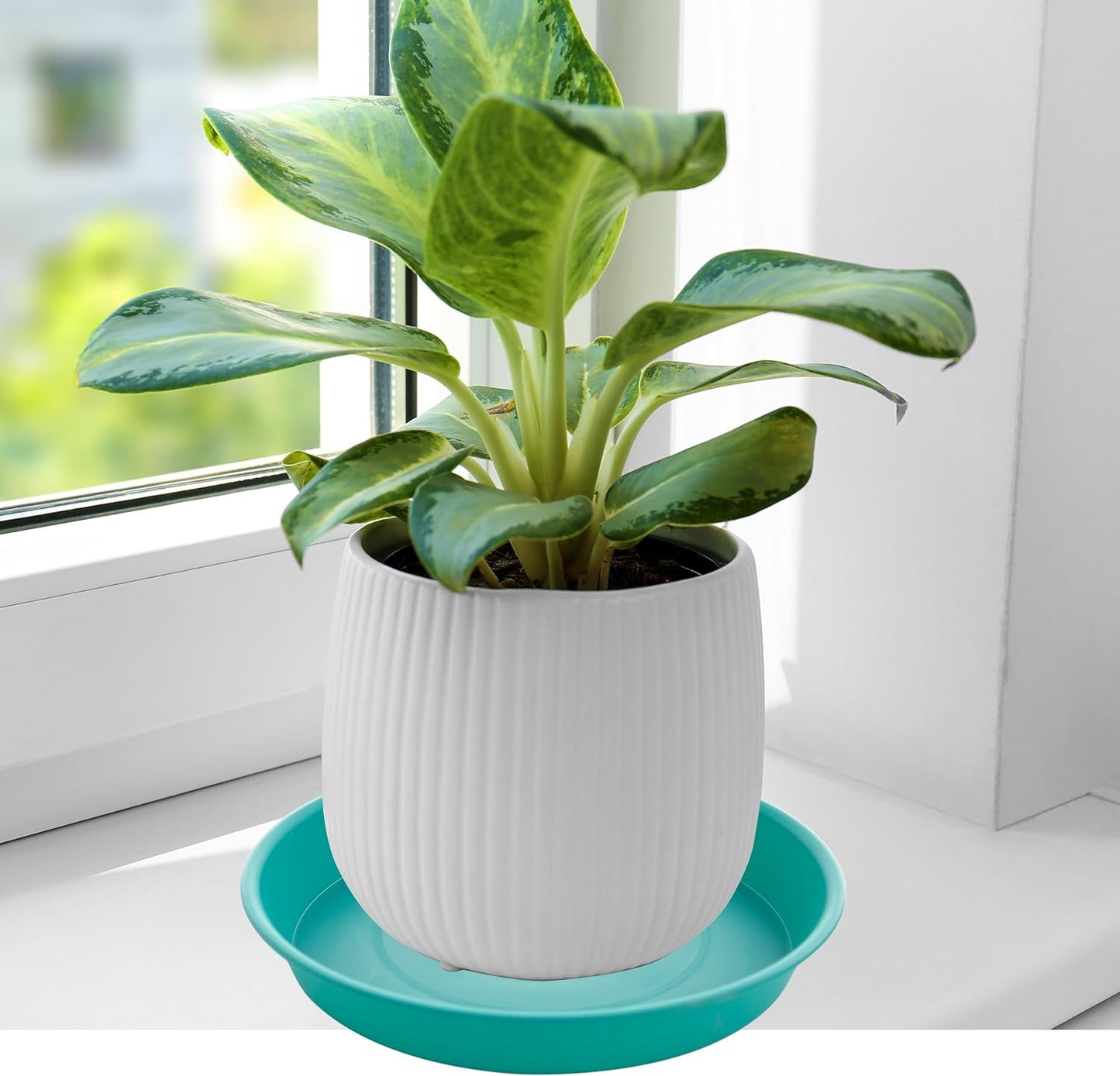 4 Pack of 14 inch Plant Saucers Bird Bath Bow Round, Plastic Plant Saucer Tray for Pots, White Planters for Indoor Plants, Plant Trays for Planter 12-15" (14", Teal)