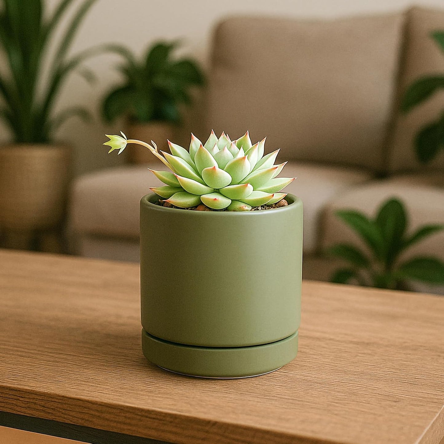 D'vine Dev Set of 4 Small Ceramic Plant Pots, 3.5 Inch Succulent Planter Pot for Plants with Drainage Hole and Saucer, Olive, 94-X-A-0