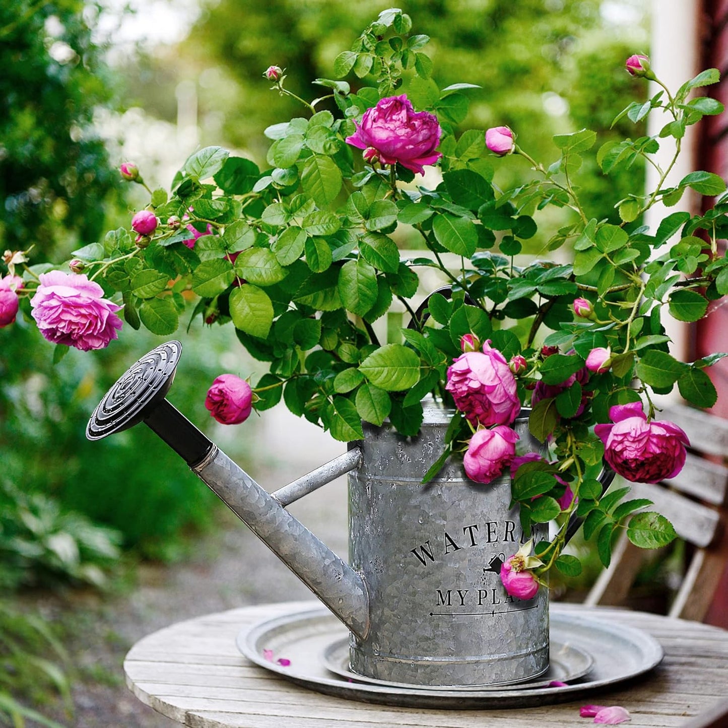 Galvanized Watering Can for Outdoor Indoor Plants, 1 Gallon Decorative Countryside Style Water Can with Removable Spout, Perfect Metal Watering Can for Indoor Plants and Garden Flower