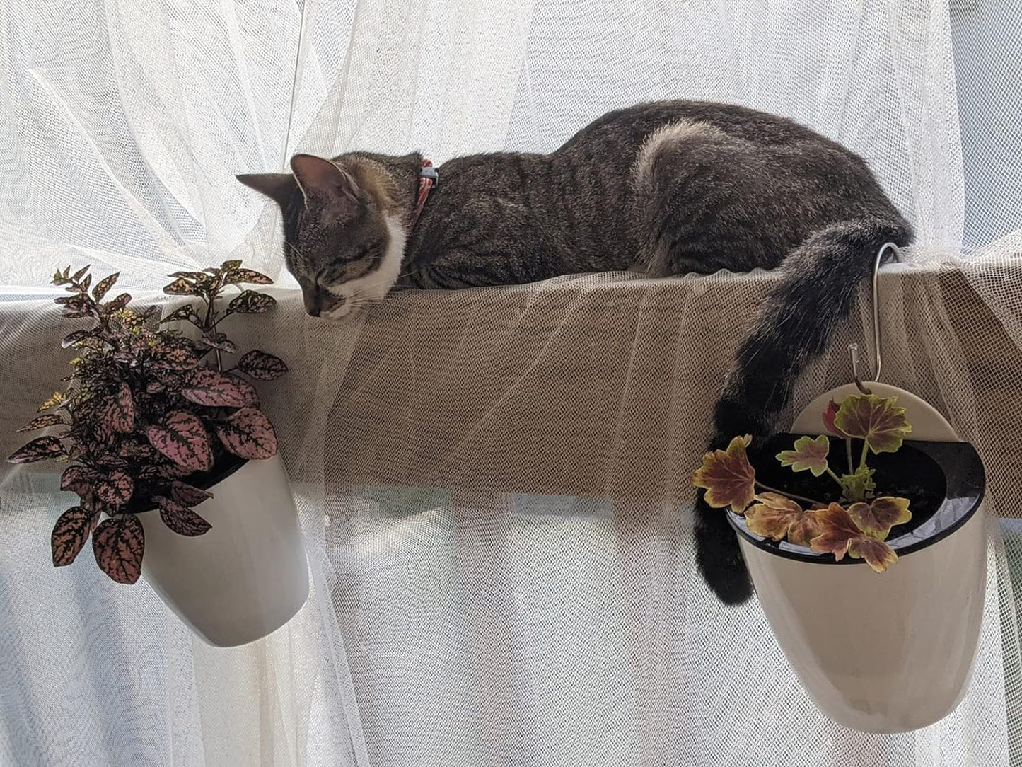 8 Packs 5" and 7.3" Plastic Self Watering Pots Wall Hanging Planters Wall Mounted Wicking Flower Pots for Indoor and Outdoor African Violet, Ocean Spider Plant, Orchid, White