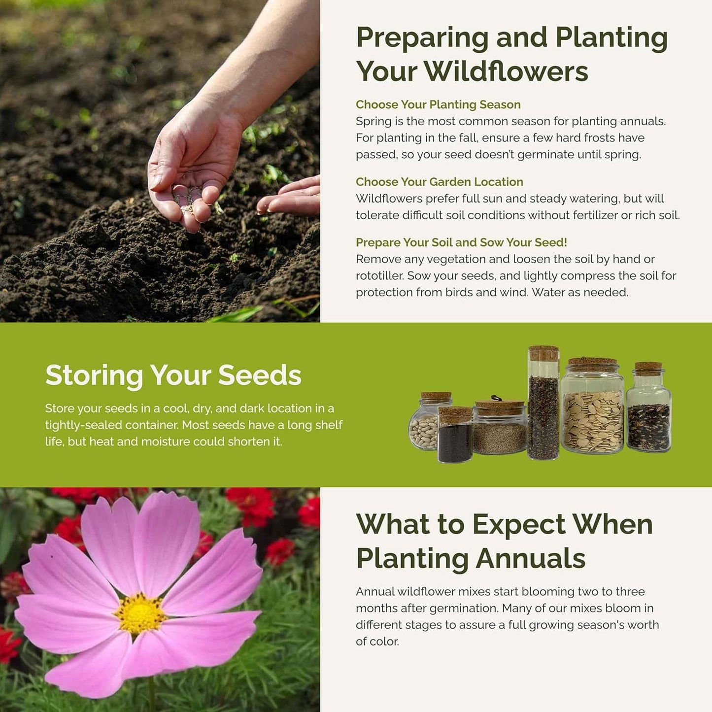 Eden Brothers Tickled Pink Flower Mixed Seeds for Planting, 1 lb, 480,000+ Seeds with Cosmos, Cornflower, Zinnia | Attracts Pollinators, Plant in Spring or Fall, Zones 3, 4, 5, 6, 7, 8, 9, 10