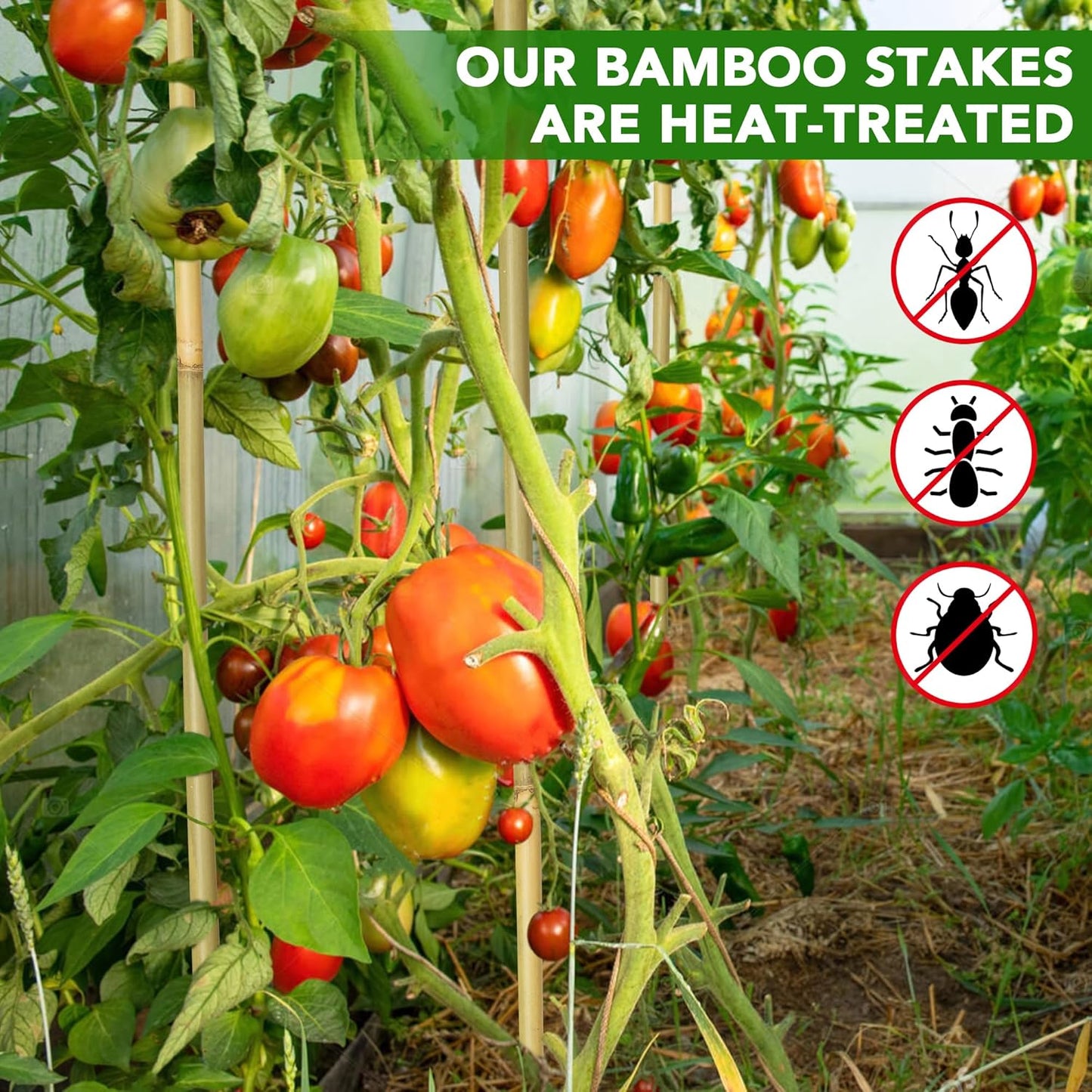 70 Pcs Bamboo Stakes, 3 Feet Natural Bamboo Garden Stakes for Plant, Garden Bamboo Plant Sticks for Plants Support, Tomato, Beans, Vegetable and Climbing Plants