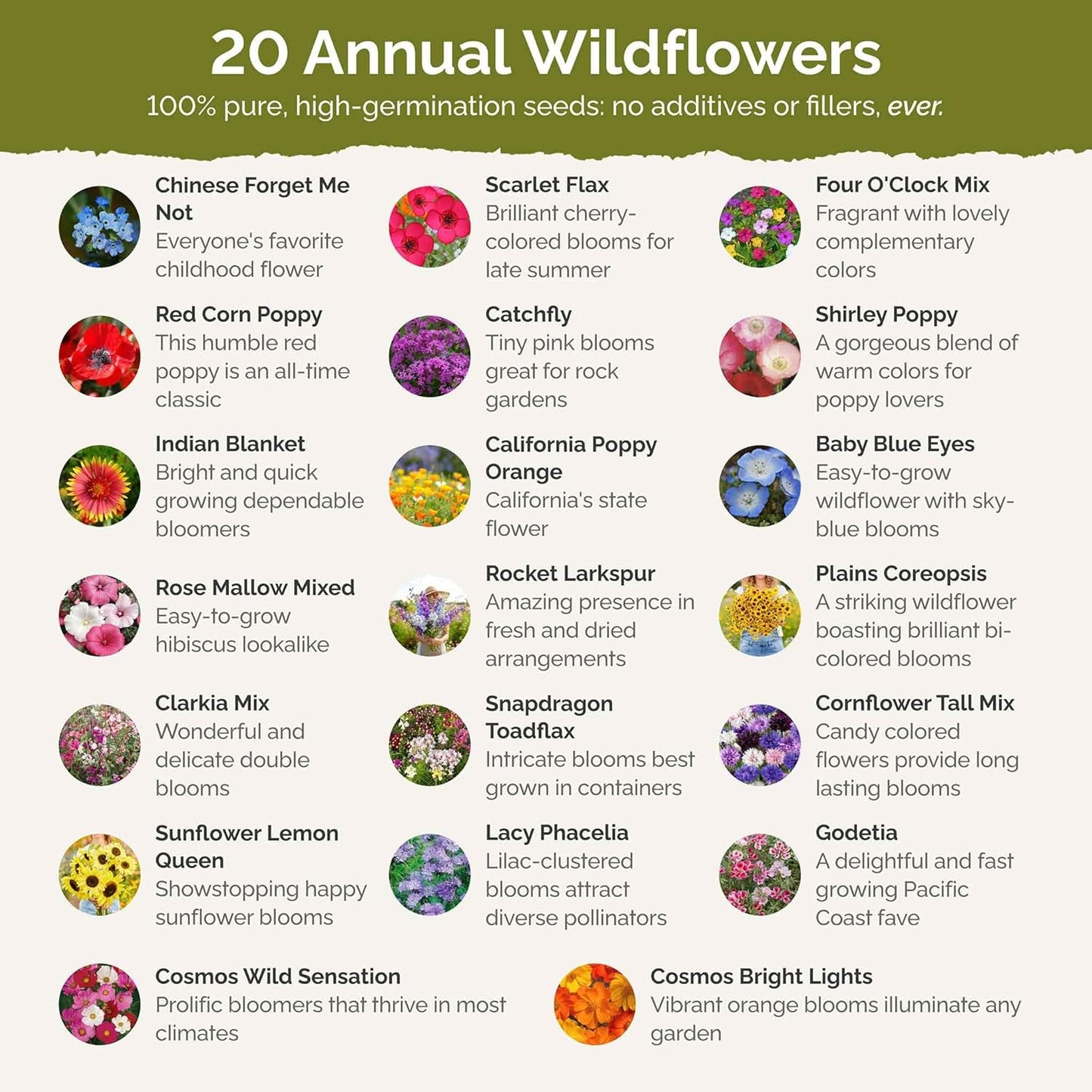 Eden Brothers All Annual Wildflower Mixed Seeds for Planting, 25 lb, 12,00,000+ Seeds with Sunflower, Indian Blanket, Scarlet Flax, Attracts Pollinators, Plant in Spring, Zones 3, 4, 5, 6, 7, 8, 9, 10