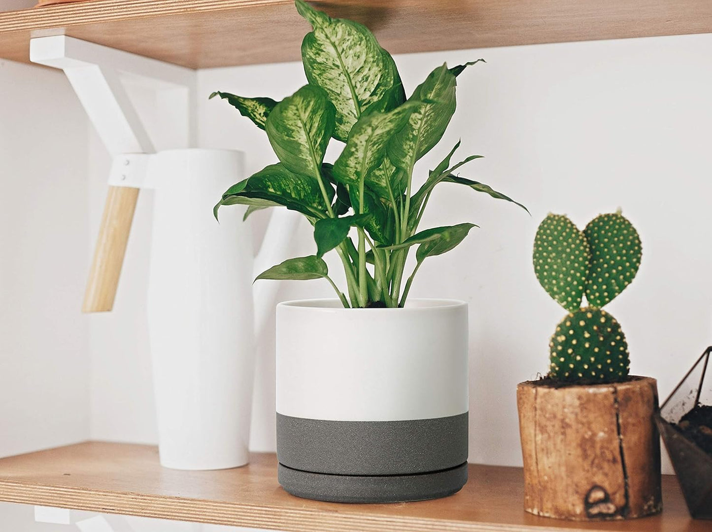 D'vine Dev Set of 2 Plants Pots, 8 Inch Ceramic Planter Pot for Plants with Drainage Hole and Saucer, White/Speckled Grey, 94-V-D-6