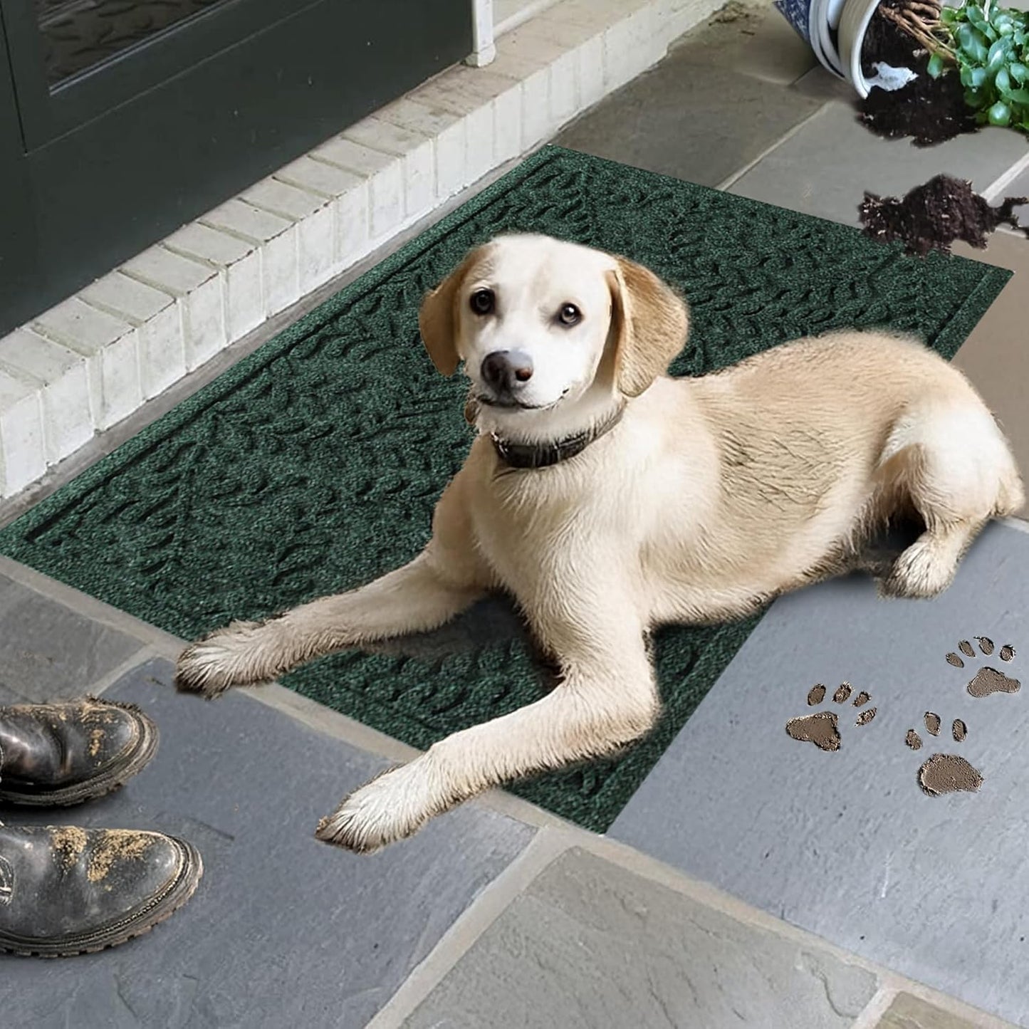 WaterHog Indoor/Outdoor Door Mat, 2' x 3', Made in USA, Durable & Skid-Resistant Front Door Rug, Decorative, Water-Trapping & Heavy-Duty Entryway Floor Mat For Your Home, Boxwood Collection, Evergreen
