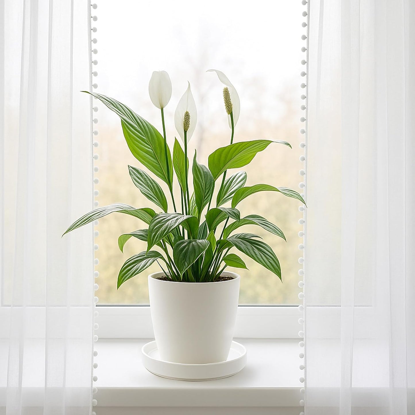 D'vine Dev Modern Round 7.1 Inch Ceramic Plant Pot Saucer, Planter Pot Drainage Tray for Indoor Plants, Matte White, 97-T-A-3