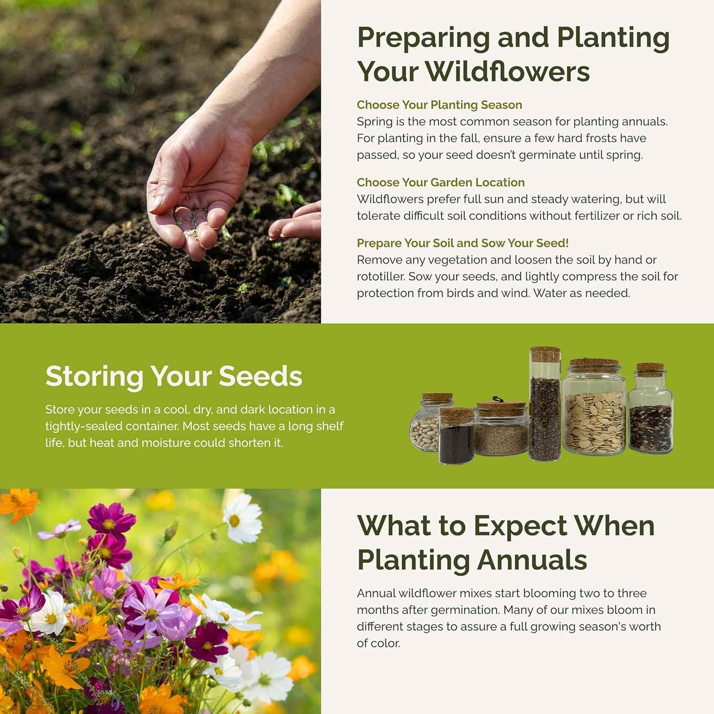 Eden Brothers All Annual Wildflower Mixed Seeds for Planting, 10 lb, 4,800,000+ Seeds Including Sunflower, Indian Blanket | Attracts Pollinators, Plant in Spring, Zones 3, 4, 5, 6, 7, 8, 9, 10