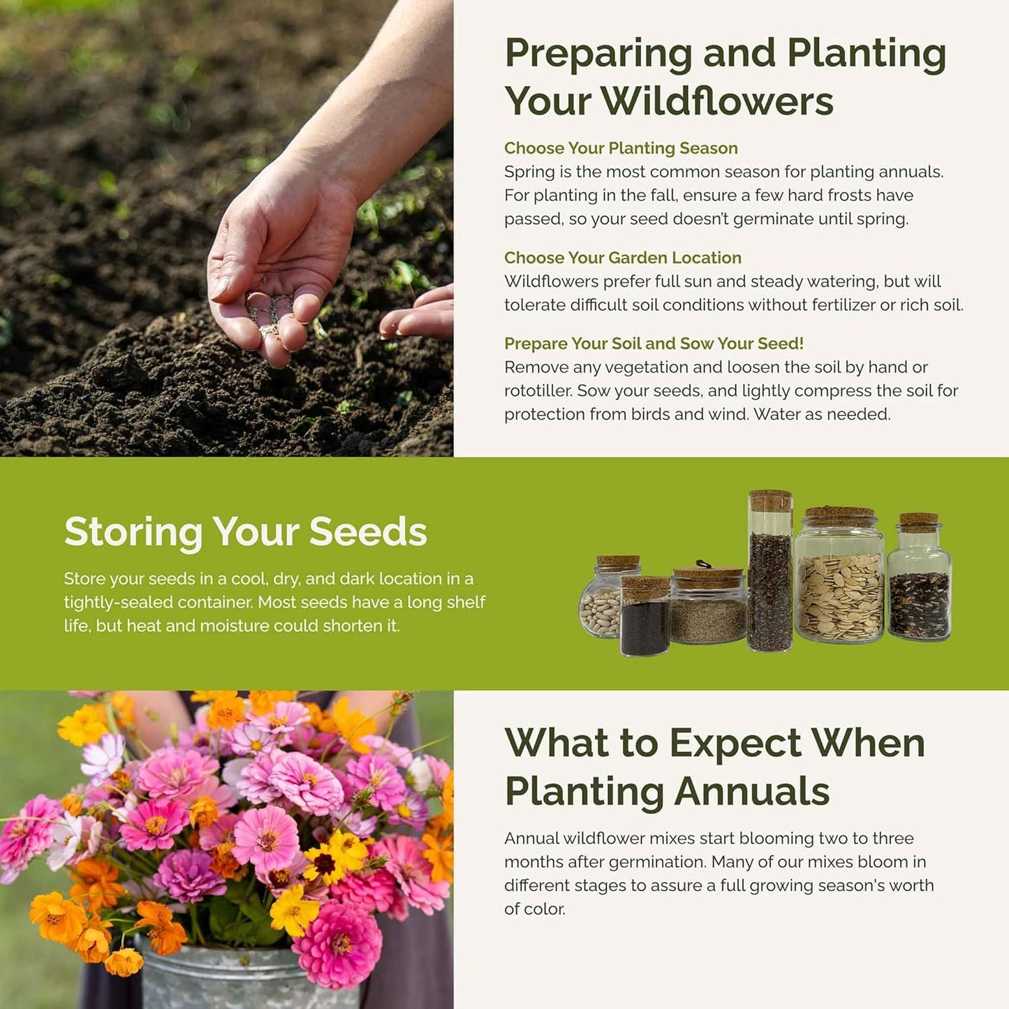 Eden Brothers Orange Sherbet Flower Mixed Seeds for Planting, 1 lb, 480,000+ Seeds with Cosmos Picotee, Bright Lights | Attracts Pollinators, Plant in Spring or Fall, Zones 3, 4, 5, 6, 7, 8, 9, 10