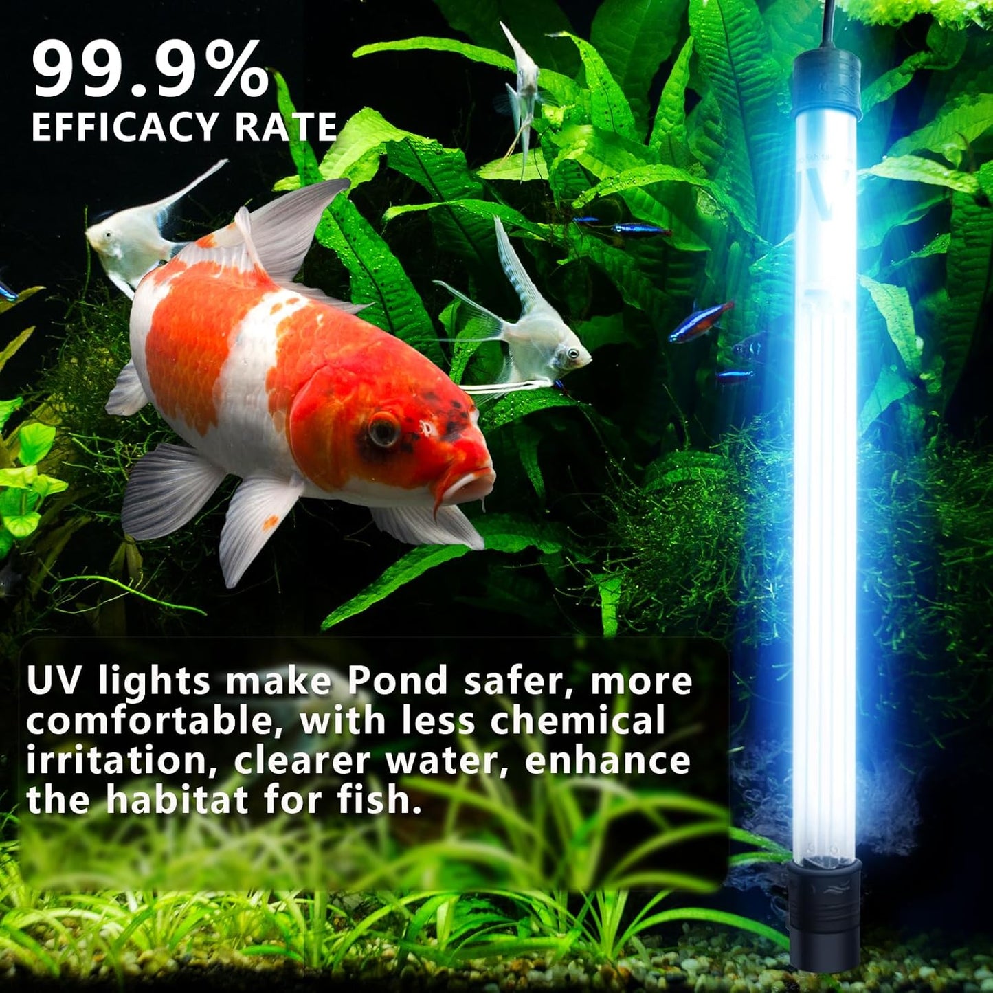 55W Pond UV Light for 500-5000 Gallon, Aquarium UV Light, UV Water Clarifier for Pond, Cold Plunge, Aquarium, Ice Bath, Hot Tub, Swimming Pool, Spa and Fish Tank