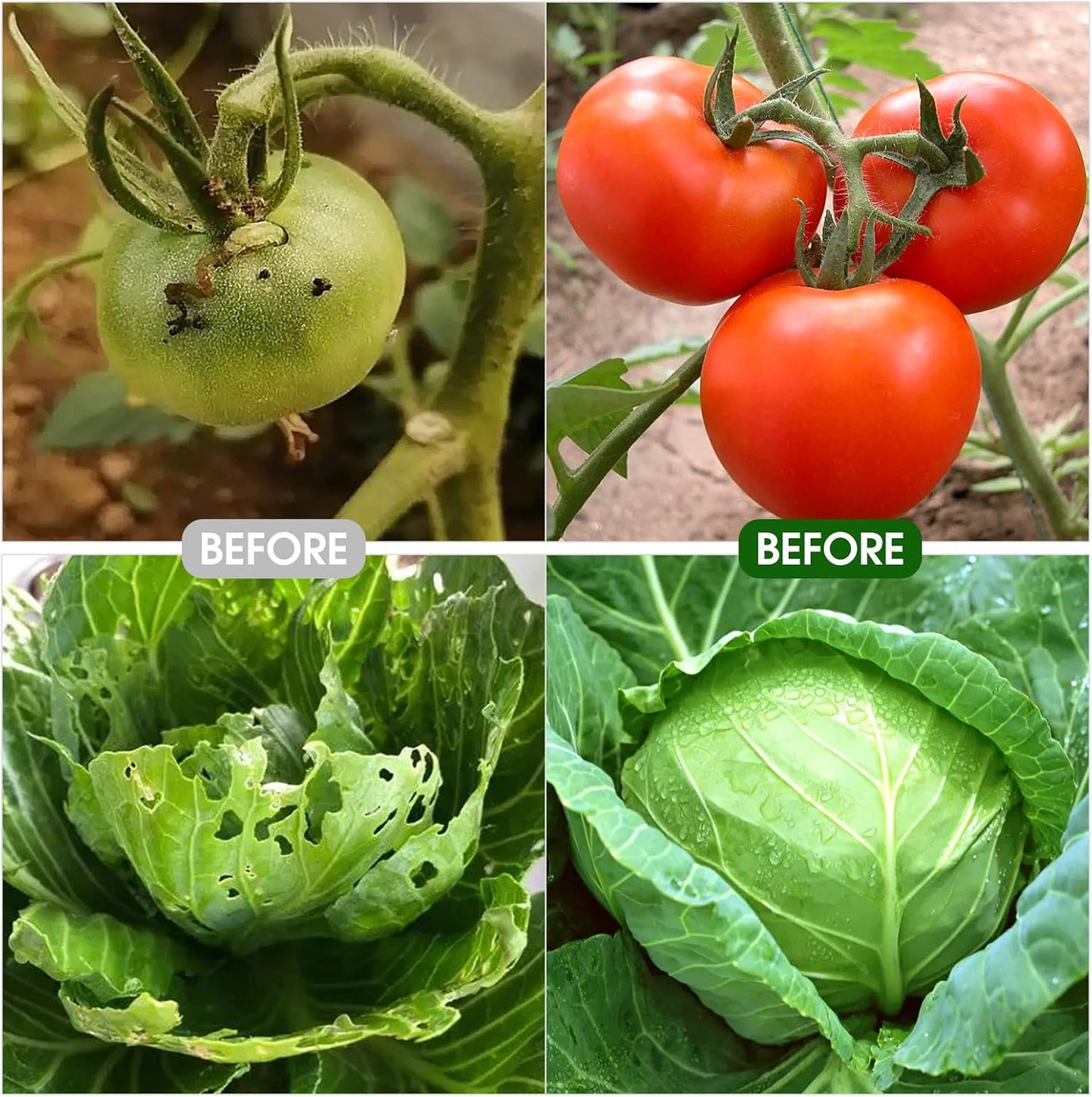 Garden Mesh Netting Kit - 8x24 Ft Ultra Fine Mesh Netting with 6 Sets Garden Hoops & 12 Clips, Bird Protection for Fruit, Vegetable, Flowers & Animals, Greenhouse Cover