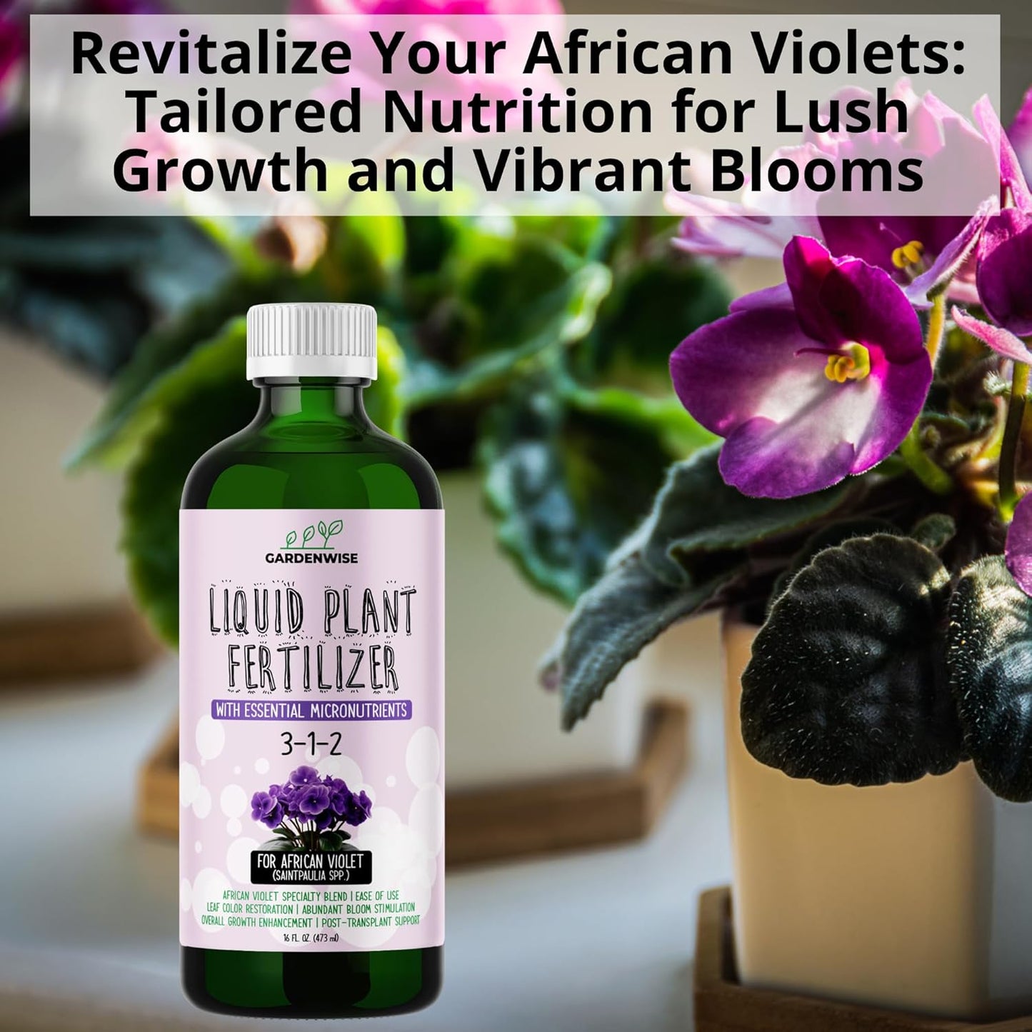 3-1-2 African Violet Fertilizer for Indoor Plants: Liquid Fertilizer with Essential Micronutrients Drops - Plant Food for African Violets (8 oz)